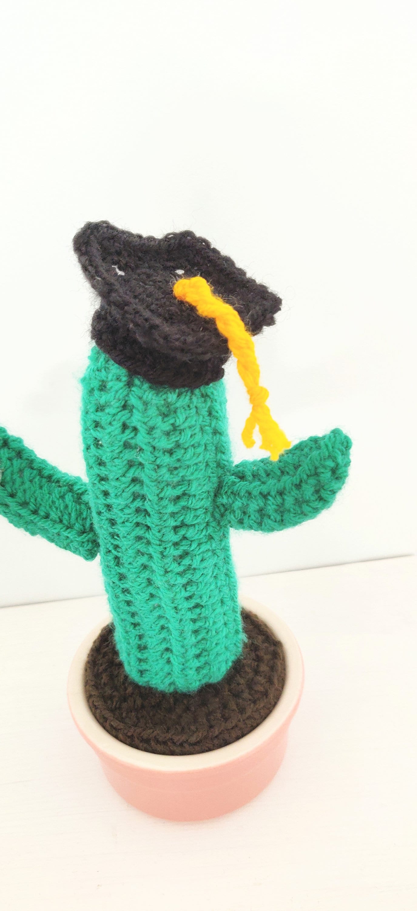 Crochet Graduation Cactus Gift: Mortarboard Leavers Present
