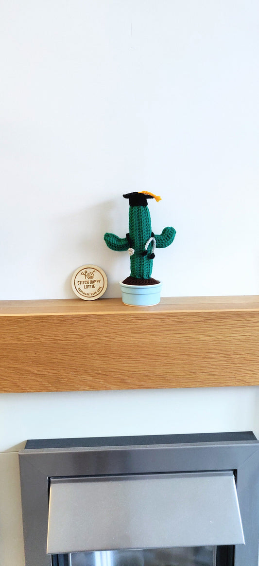 Crochet Cactus Graduation Gift, Doctor Nurse Gift, Mortarboard Stethoscope
