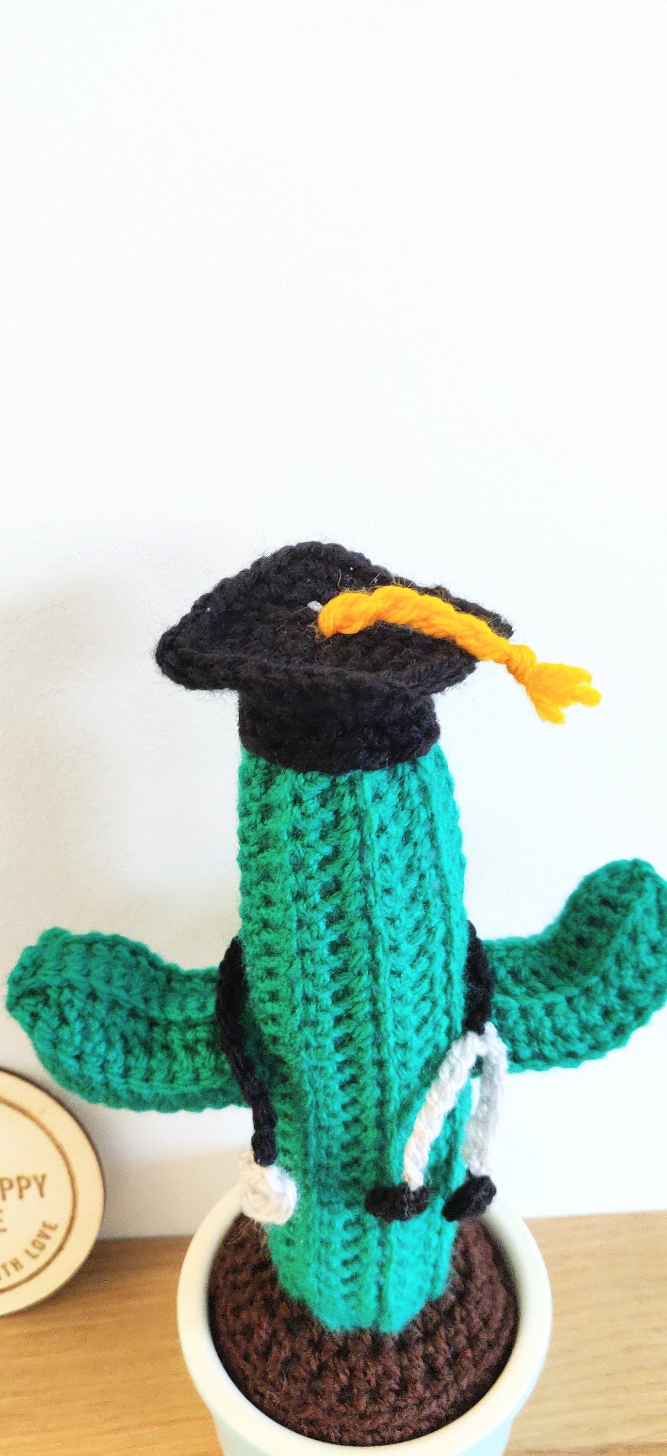 Crochet Cactus Graduation Gift, Doctor Nurse Gift, Mortarboard Stethoscope