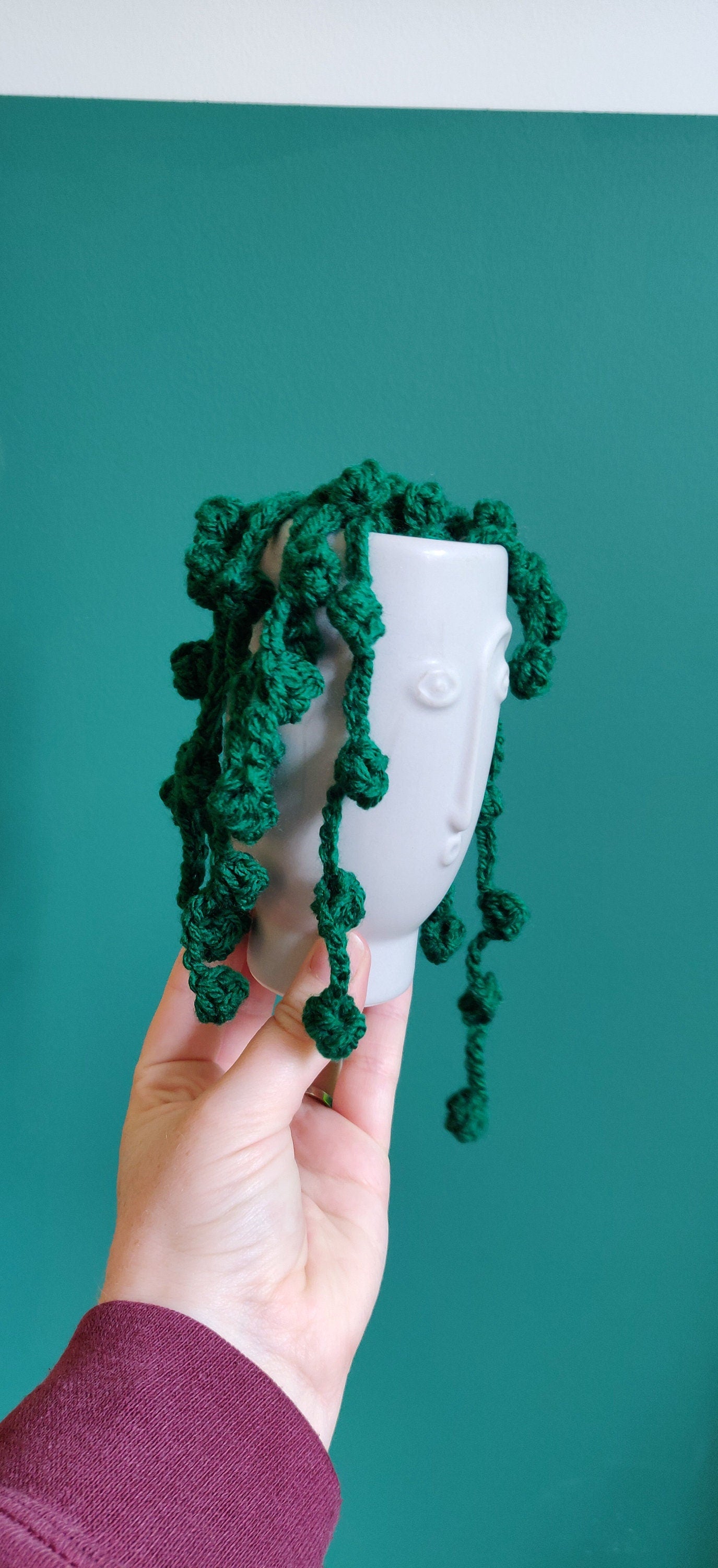 Crochet String of Pearls Plant: Fun Face Pot, Unique Homeware
