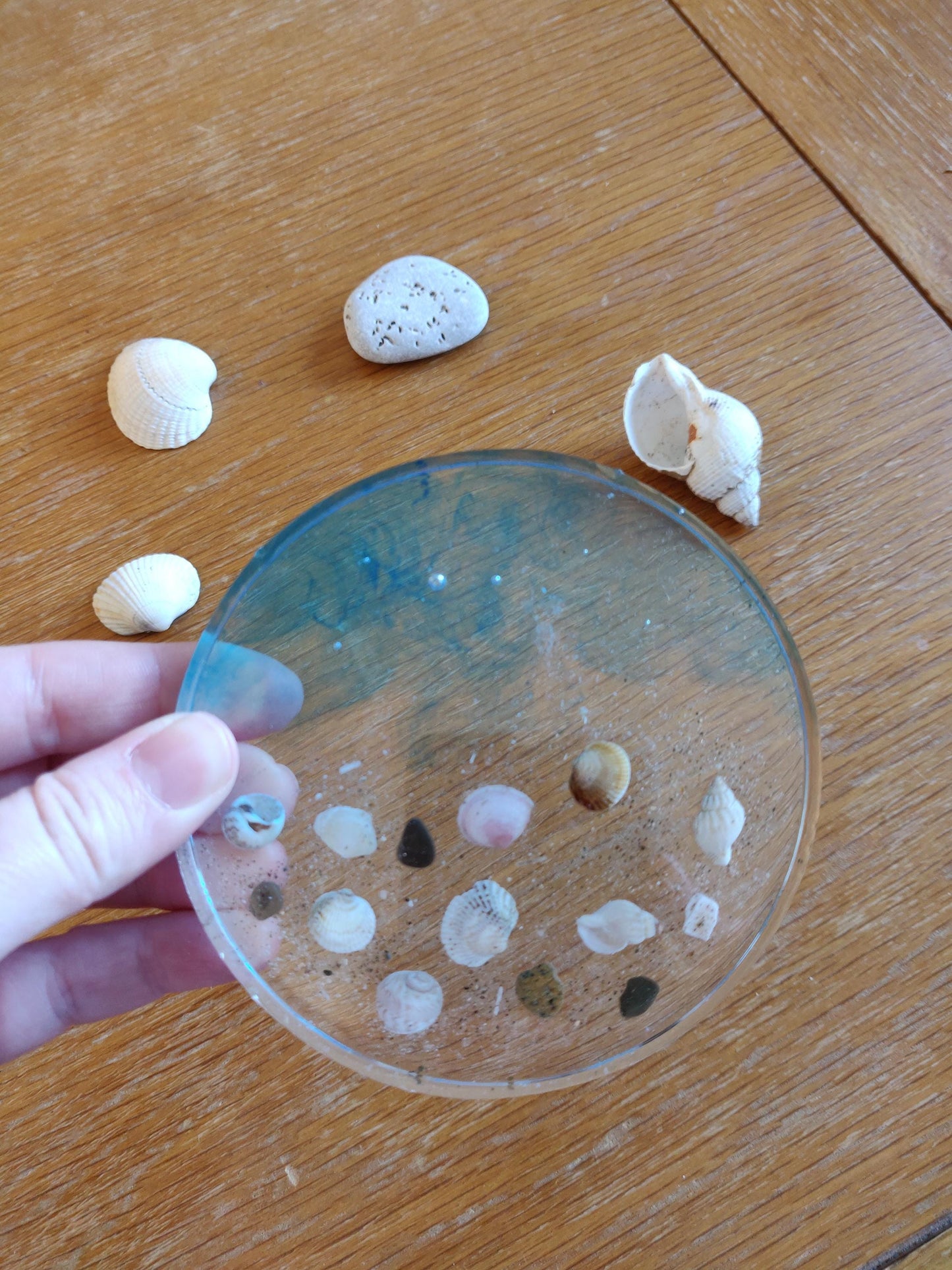 Seashell Resin Coaster for Beach Lovers, Beach House Decor, Ocean Inspired Handmade Coaster with Real Shells and Sand, Mini Shells