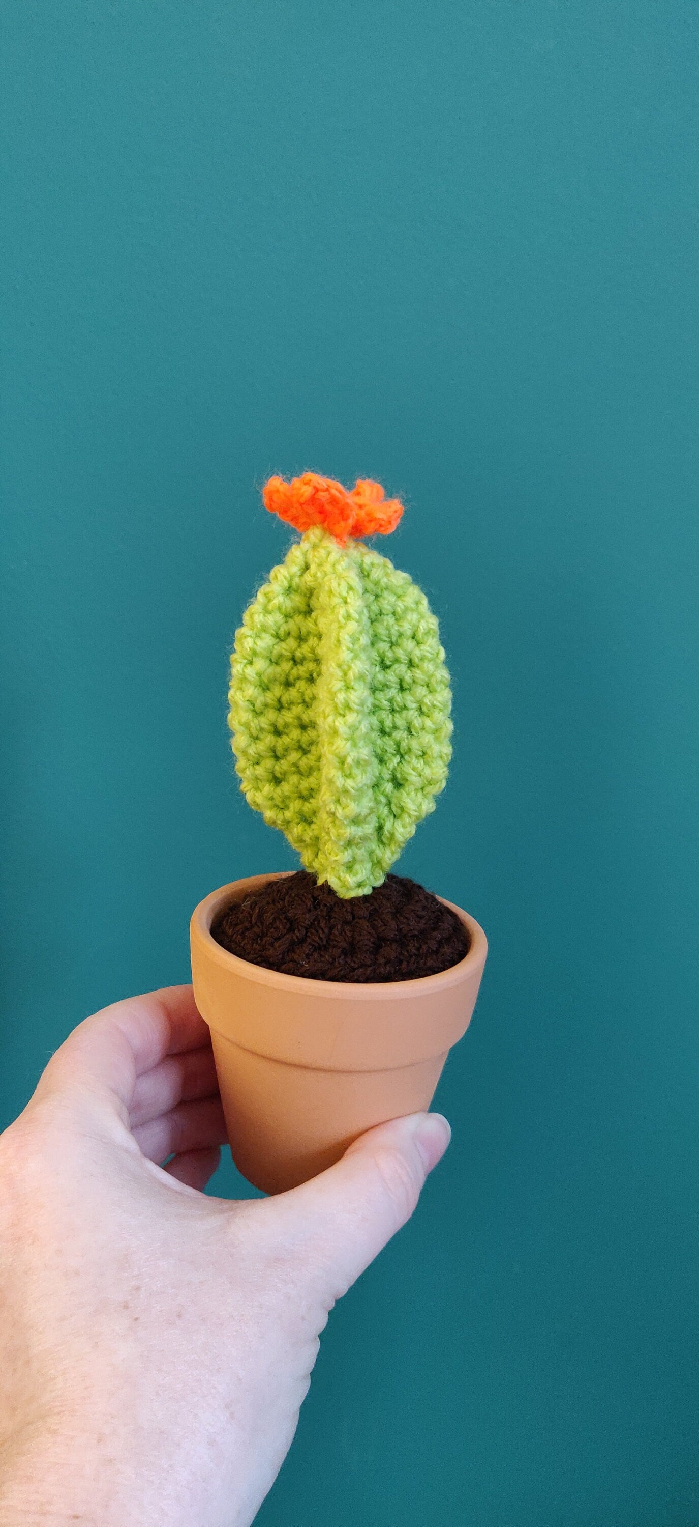 Mini Crochet Cactus, House Plant, Artificial Cacti, Birthday Gift, Retirement Gift, Desk Buddy, Office Decor, Orange Flower, Terracotta Pot