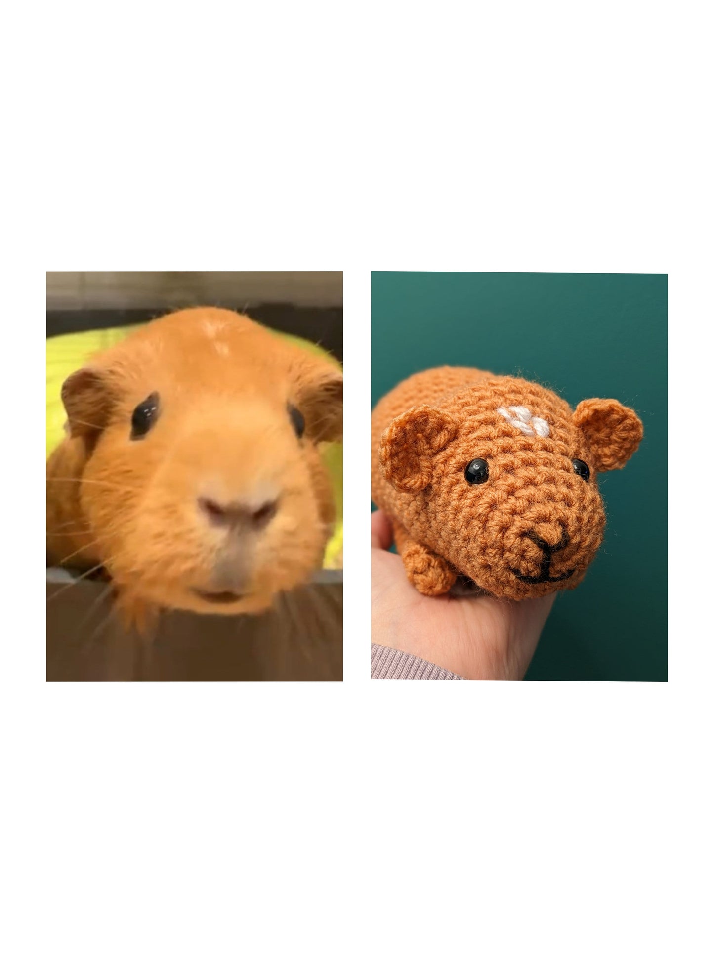 Crochet Guinea Pig, Personalised Pet Teddy, Guinea Pig Gift, Pet Memorial, Pig Plushie, Pet Portrait