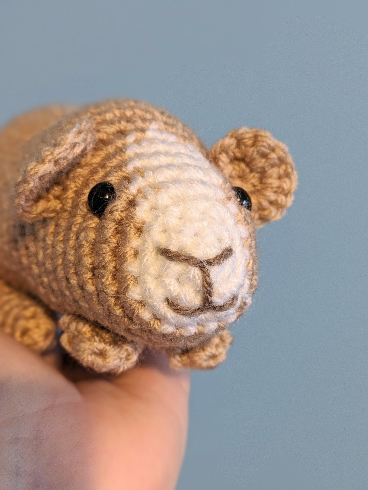 Crochet Guinea Pig, Personalised Pet Teddy, Guinea Pig Gift, Pet Memorial, Pig Plushie, Pet Portrait