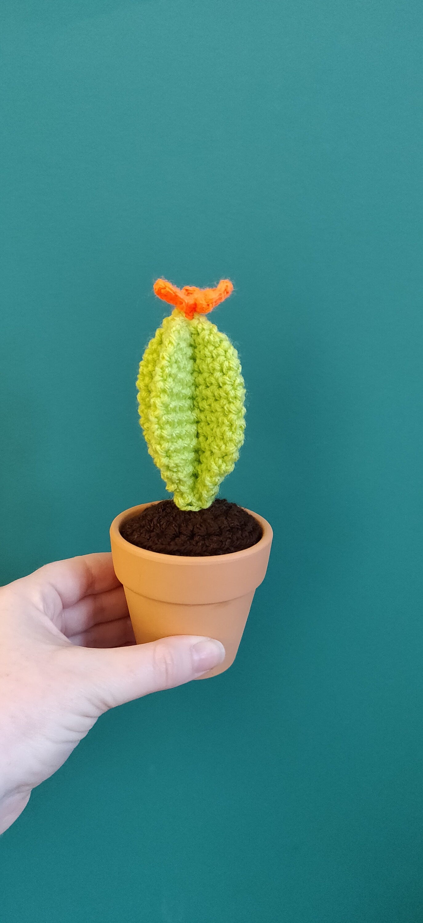 Mini Crochet Cactus, House Plant, Artificial Cacti, Birthday Gift, Retirement Gift, Desk Buddy, Office Decor, Orange Flower, Terracotta Pot