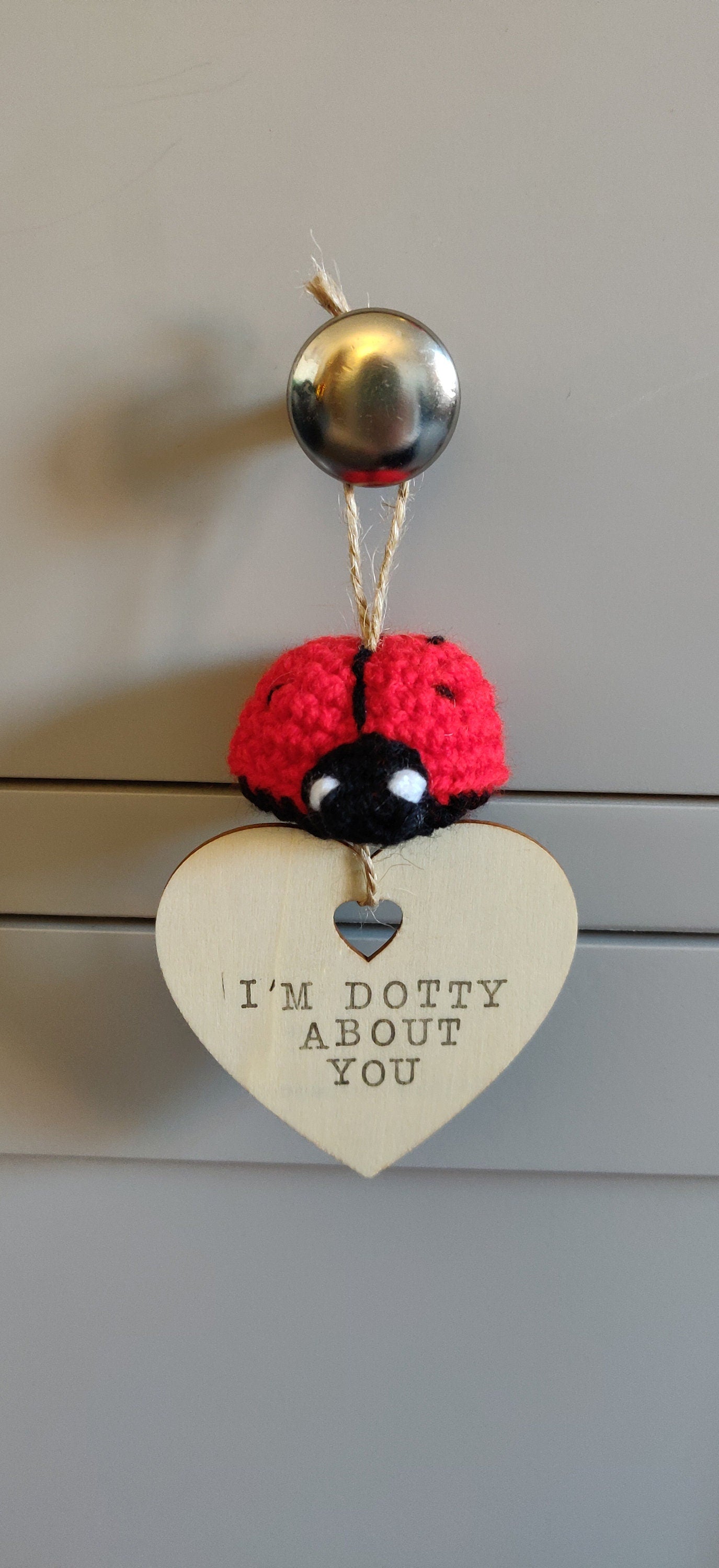 Crocheted Ladybug Hanging Decoration, Hand Stamped Wooden Sign, Personalized Gift