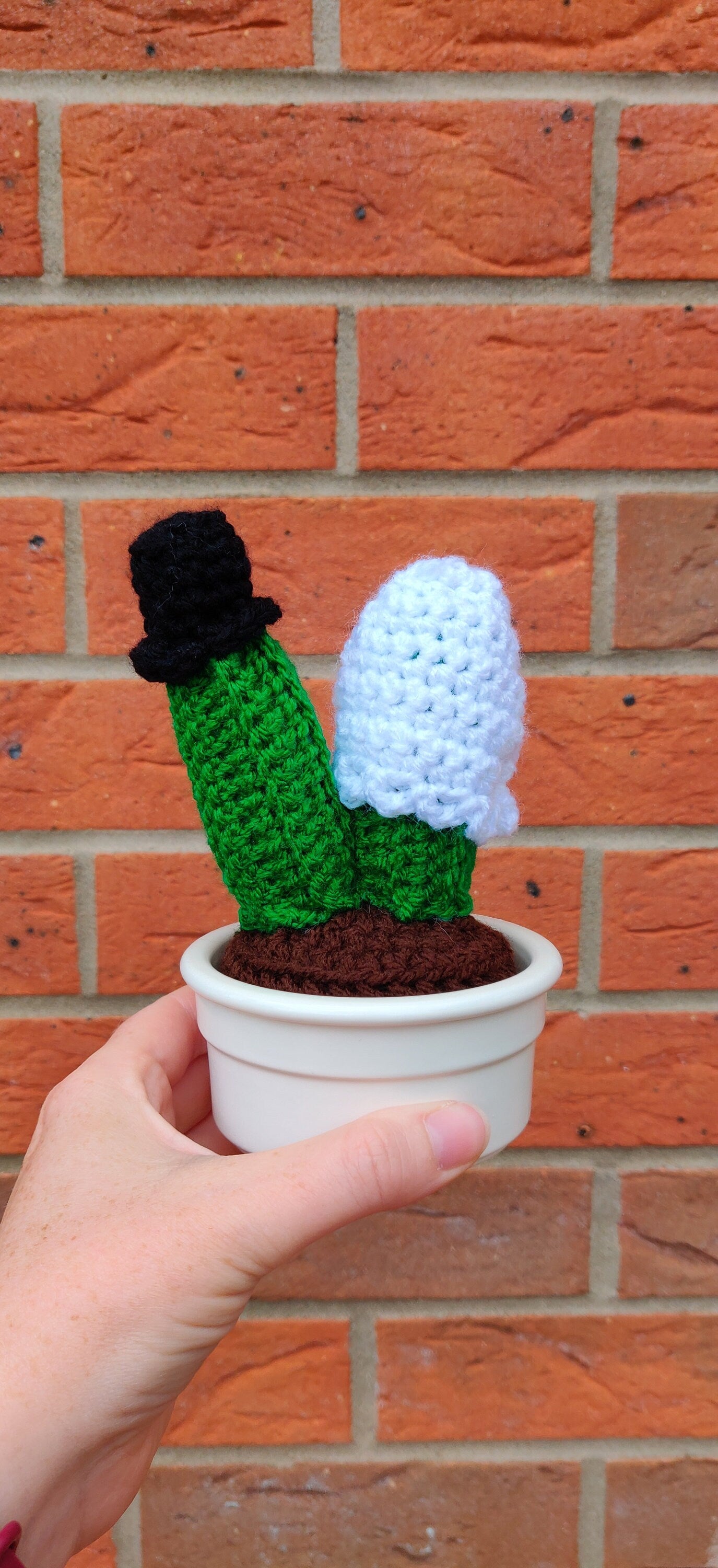 Crochet Cactuses Wedding Gift, Unique Wedding Decorations, Bride and Groom Wedding cake Topper, Wedding Present for Couple, Bride and Groom