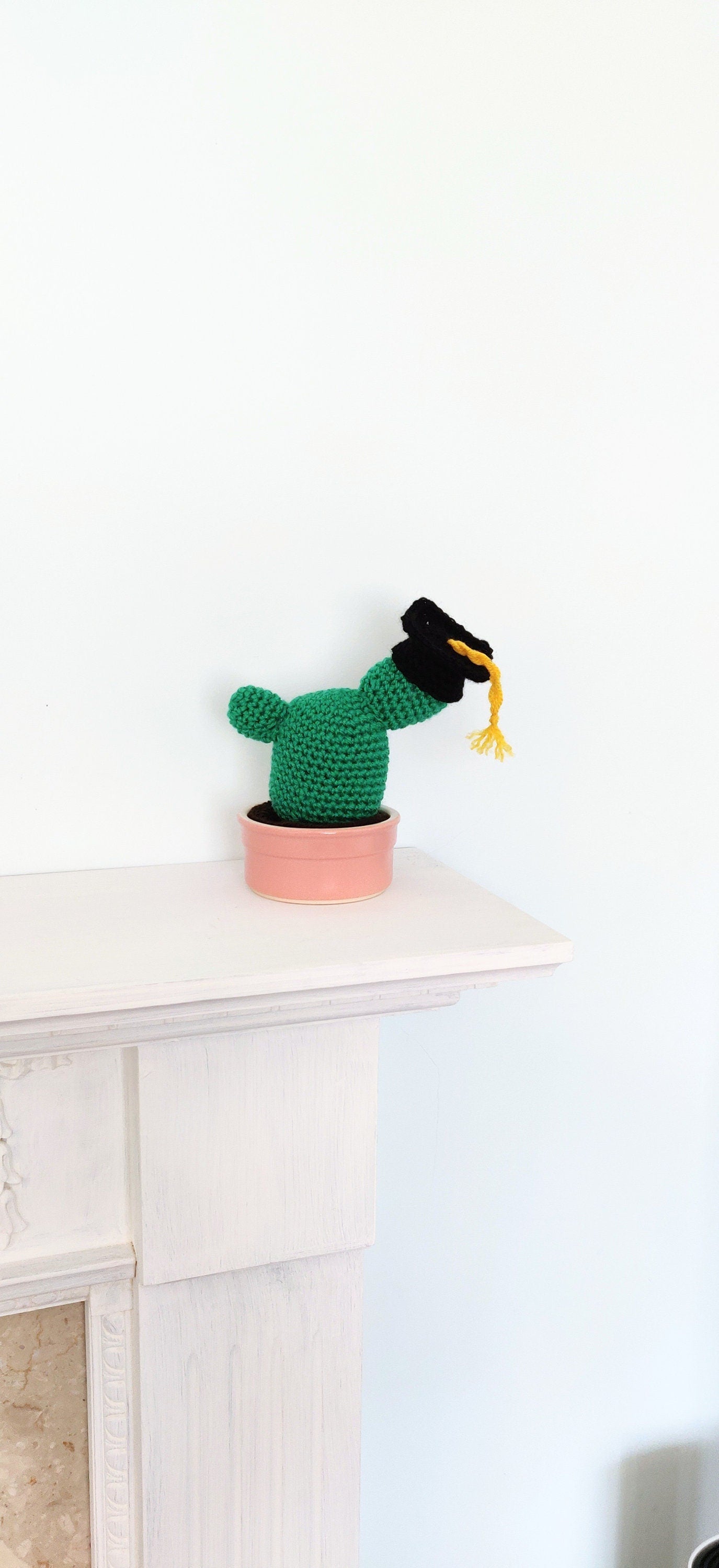 Crochet Graduation Cactus Gift: Mortarboard & Scroll