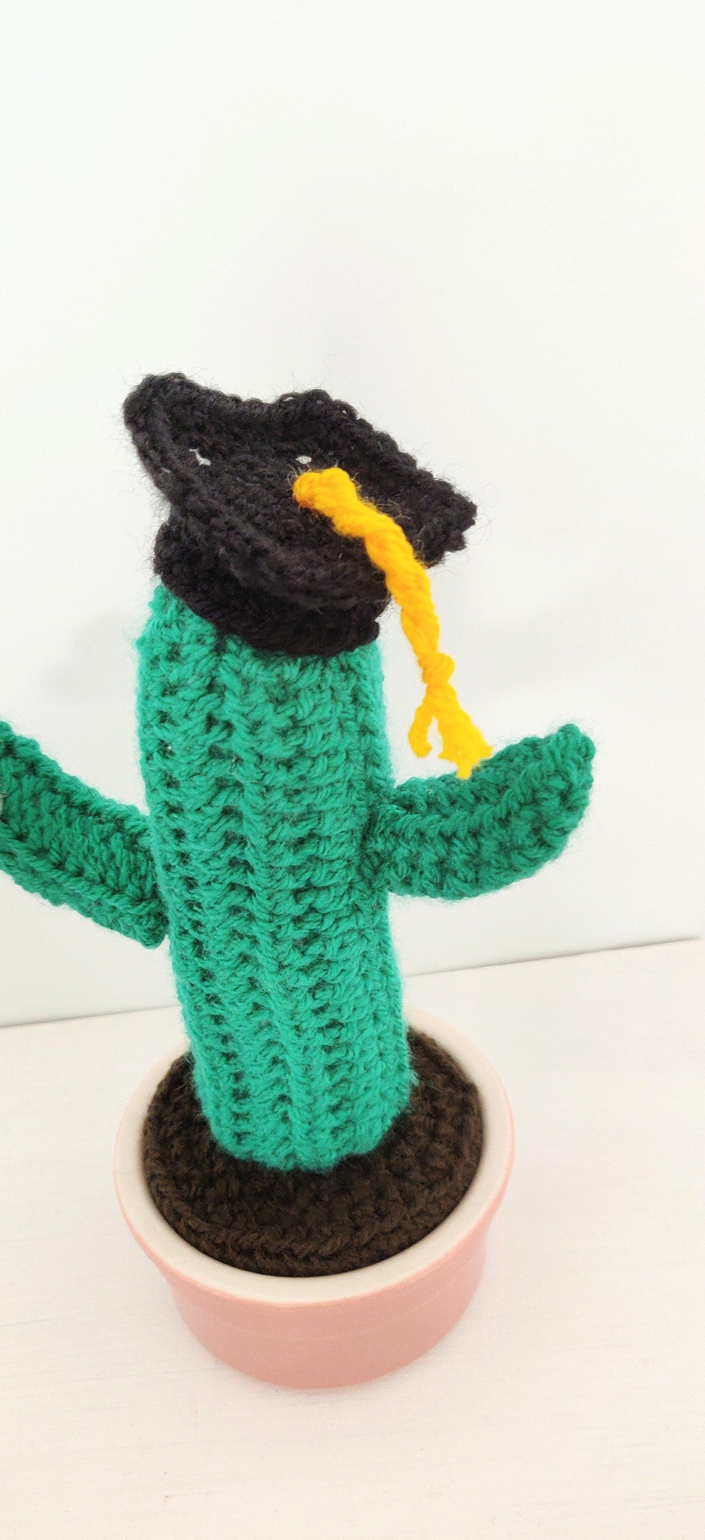 Crochet Graduation Cactus Gift: Mortarboard & Scroll