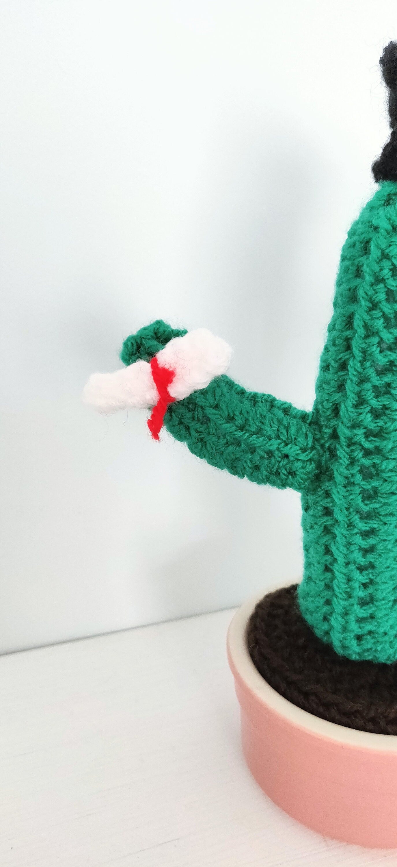 Crochet Graduation Cactus Gift: Mortarboard & Scroll