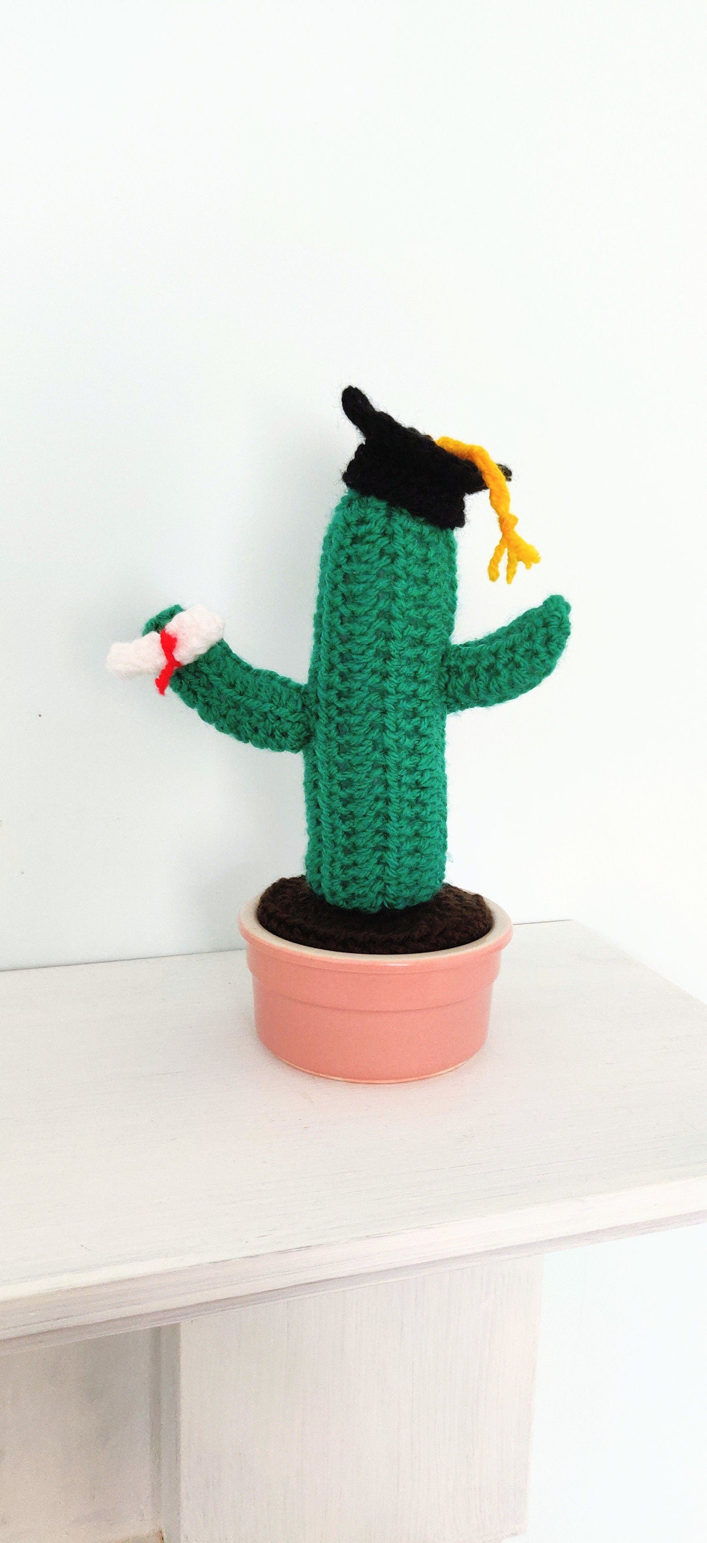 Crochet Graduation Cactus Gift: Mortarboard & Scroll