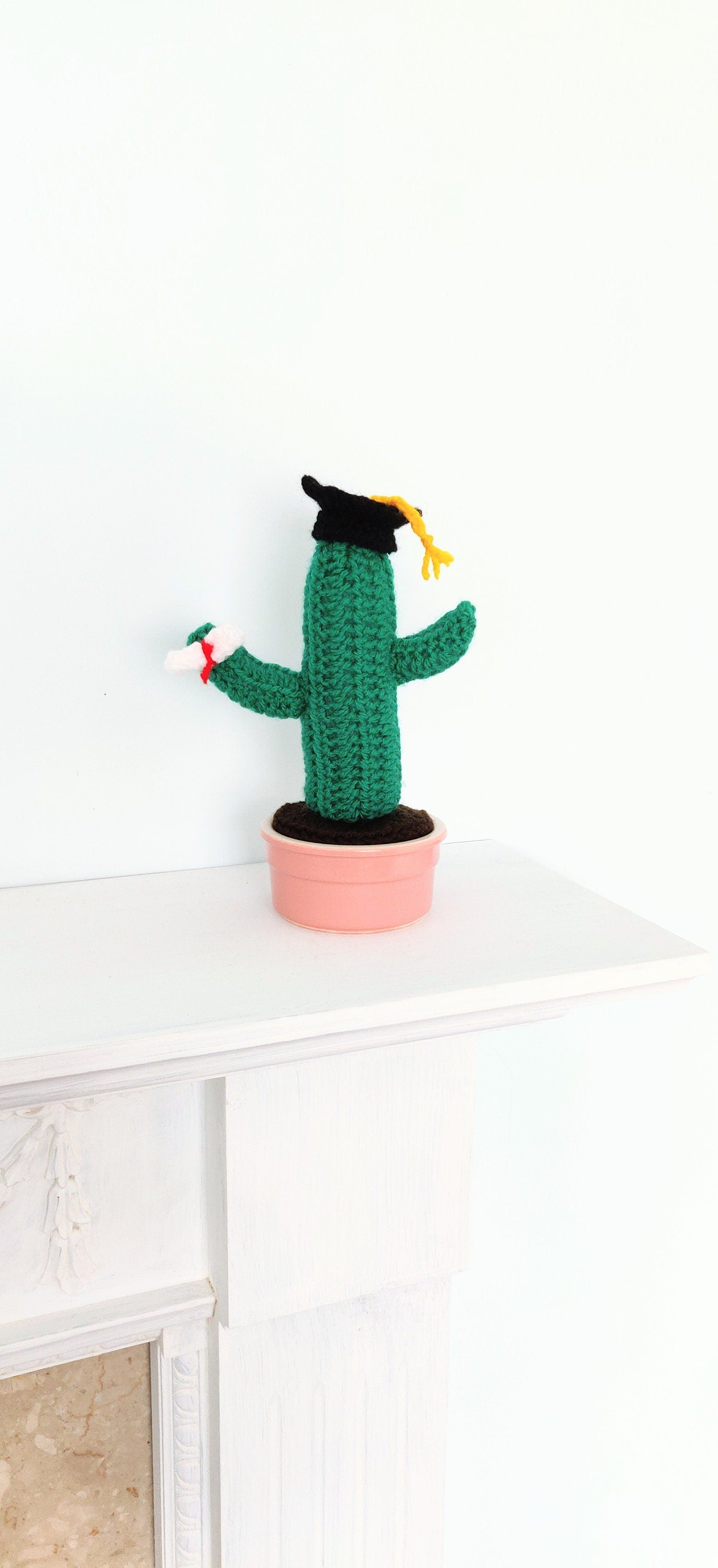 Crochet Graduation Cactus Gift: Mortarboard & Scroll