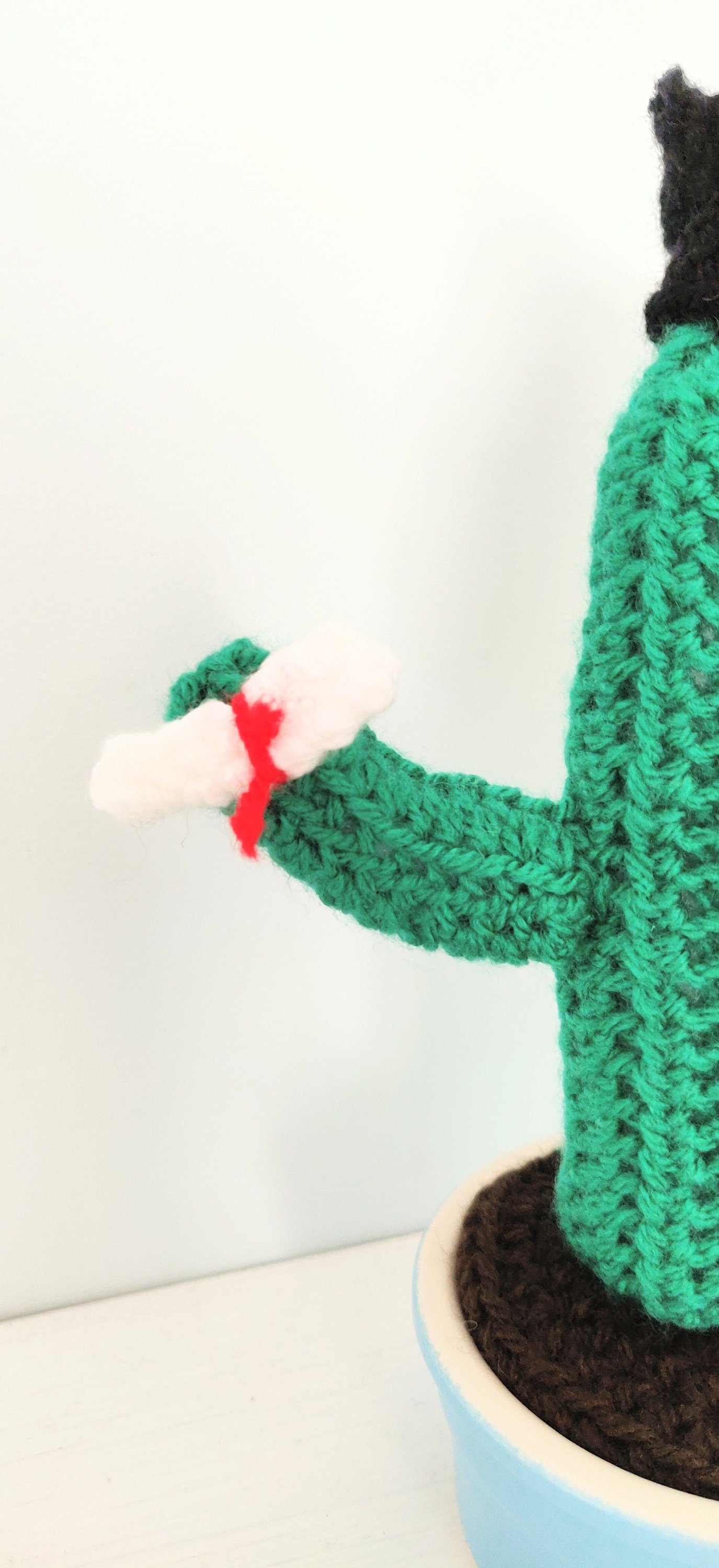 Crochet Graduation Cactus Gift: Mortarboard Leavers Present