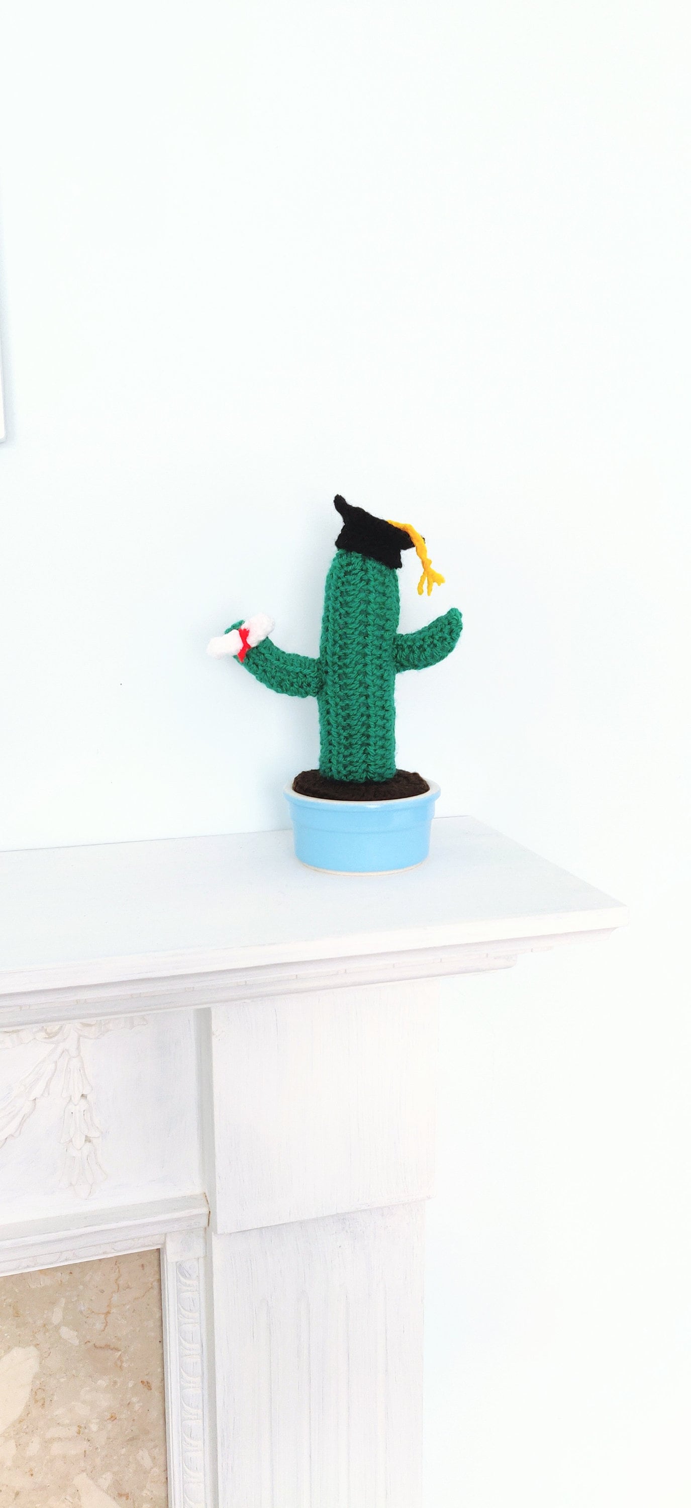 Crochet Graduation Cactus Gift: Mortarboard Leavers Present