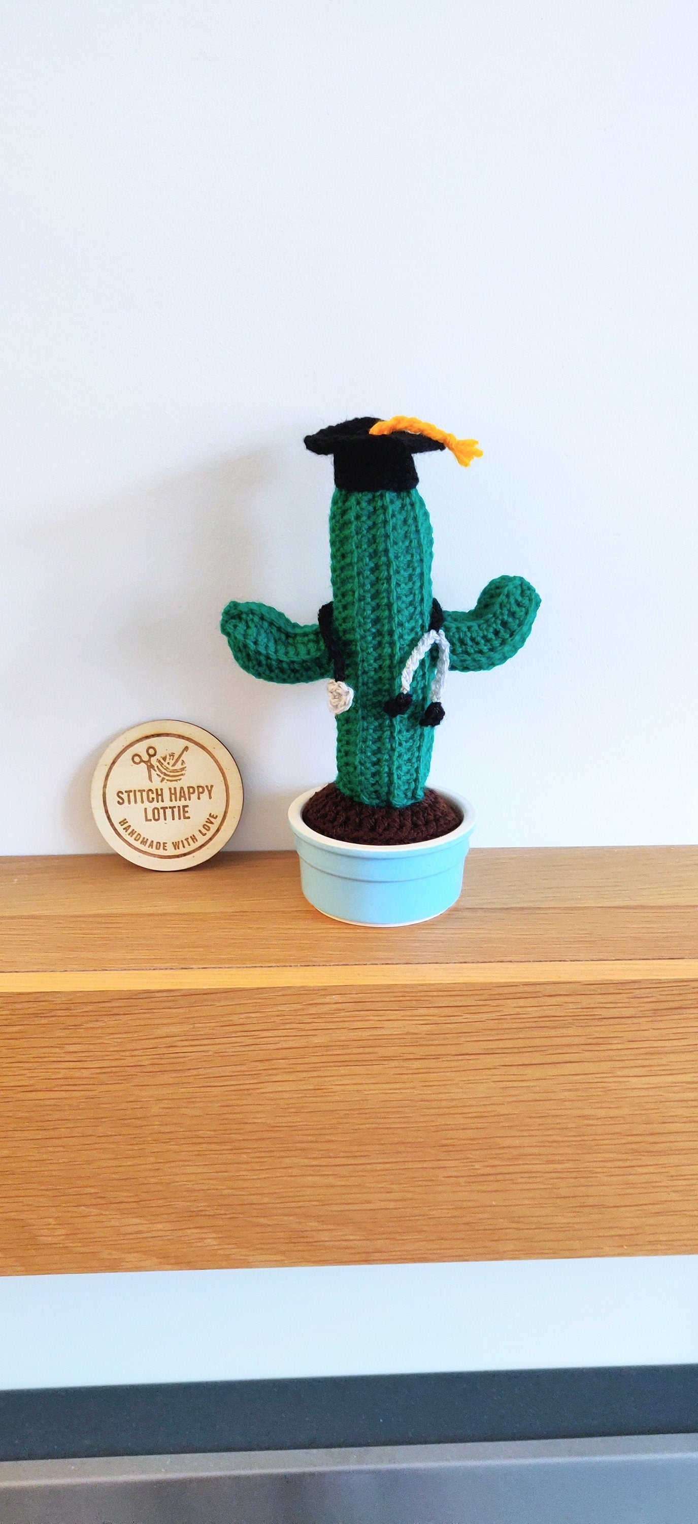 Crochet Cactus Graduation Gift, Doctor Nurse Gift, Mortarboard Stethoscope