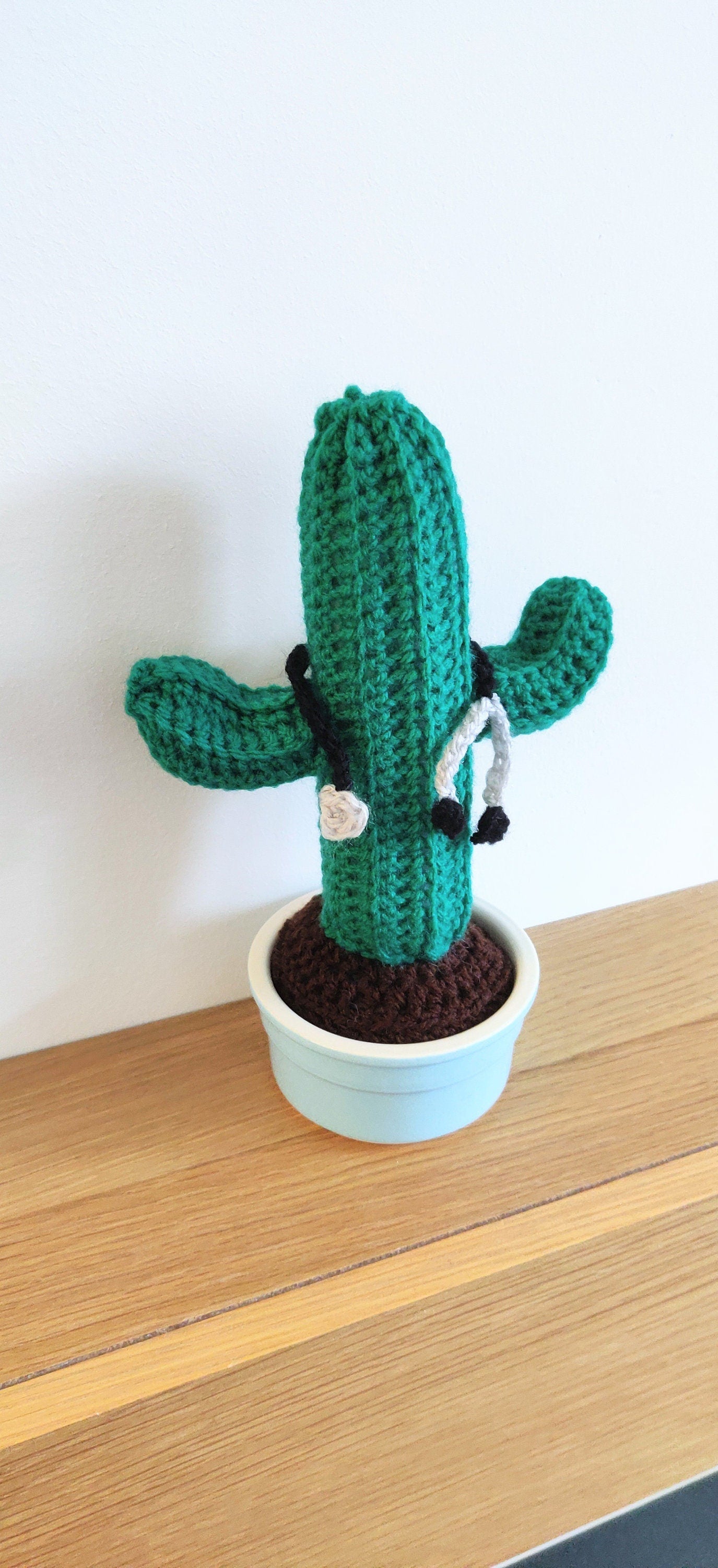 Retirement Doctor Gift, Nurse Gift Funny, Stethoscope Decoration, Unique Cactus Gift, Plant Lovers Gift, Birthday Gift for Doctor or Nurse