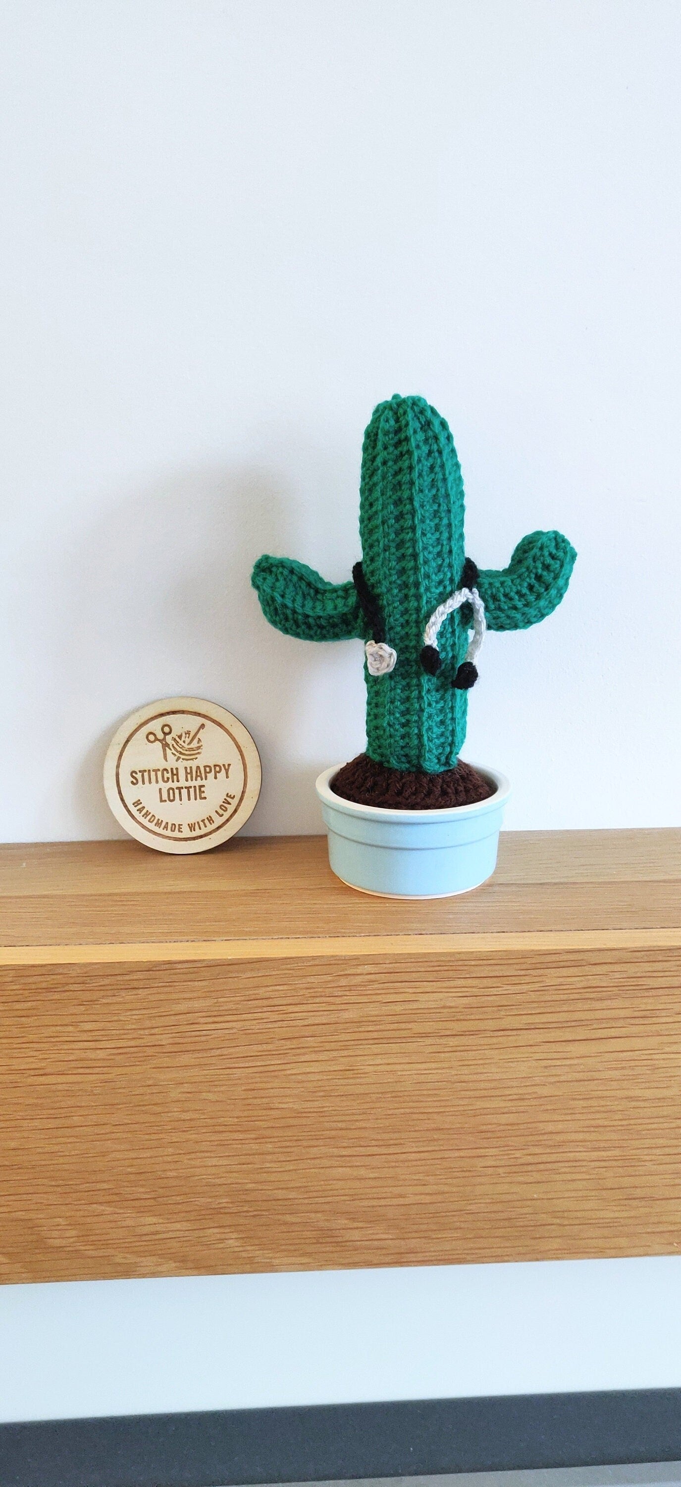 Retirement Doctor Gift, Nurse Gift Funny, Stethoscope Decoration, Unique Cactus Gift, Plant Lovers Gift, Birthday Gift for Doctor or Nurse