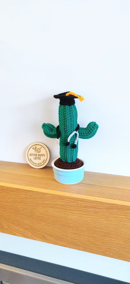 Crochet Cactus Graduation Gift, Doctor Nurse Gift, Mortarboard Stethoscope