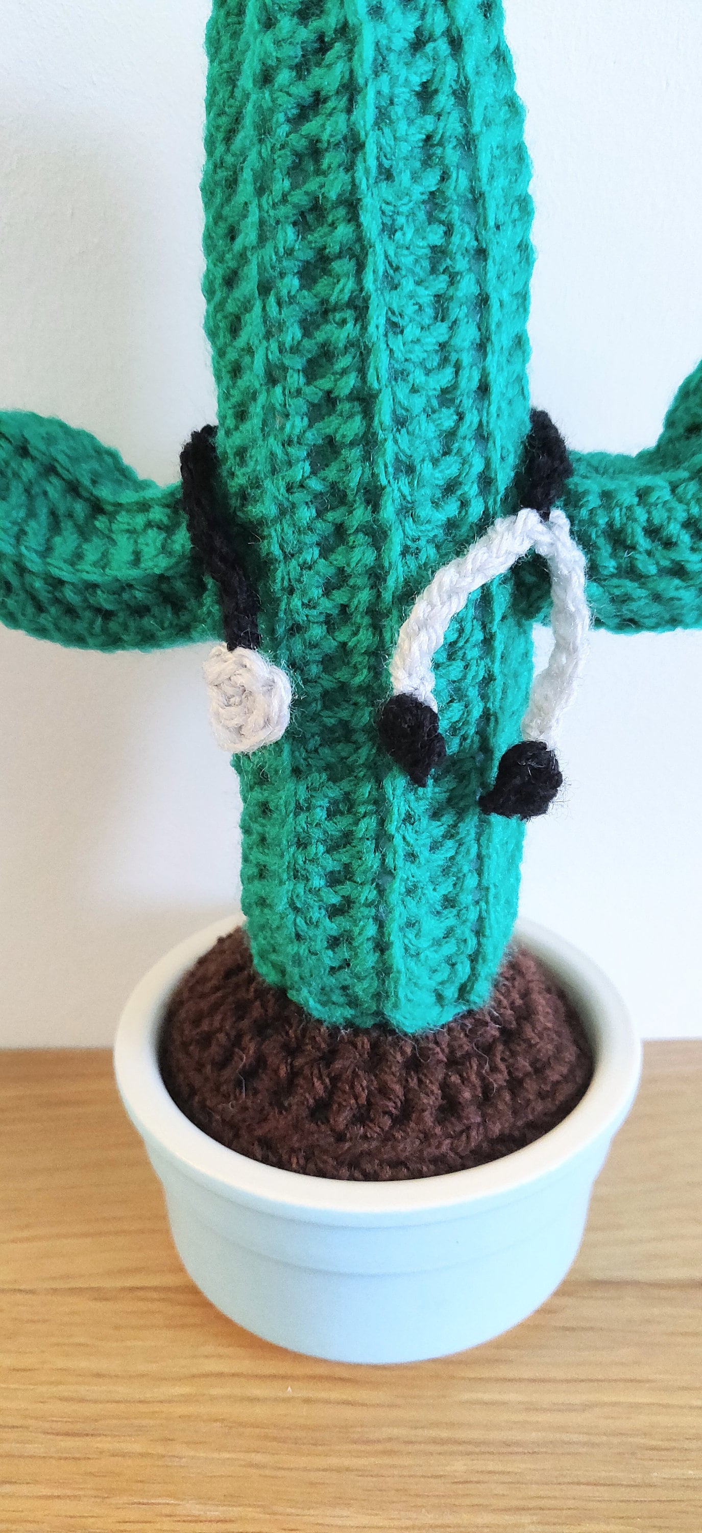 Crochet Cactus Graduation Gift, Doctor Nurse Gift, Mortarboard Stethoscope