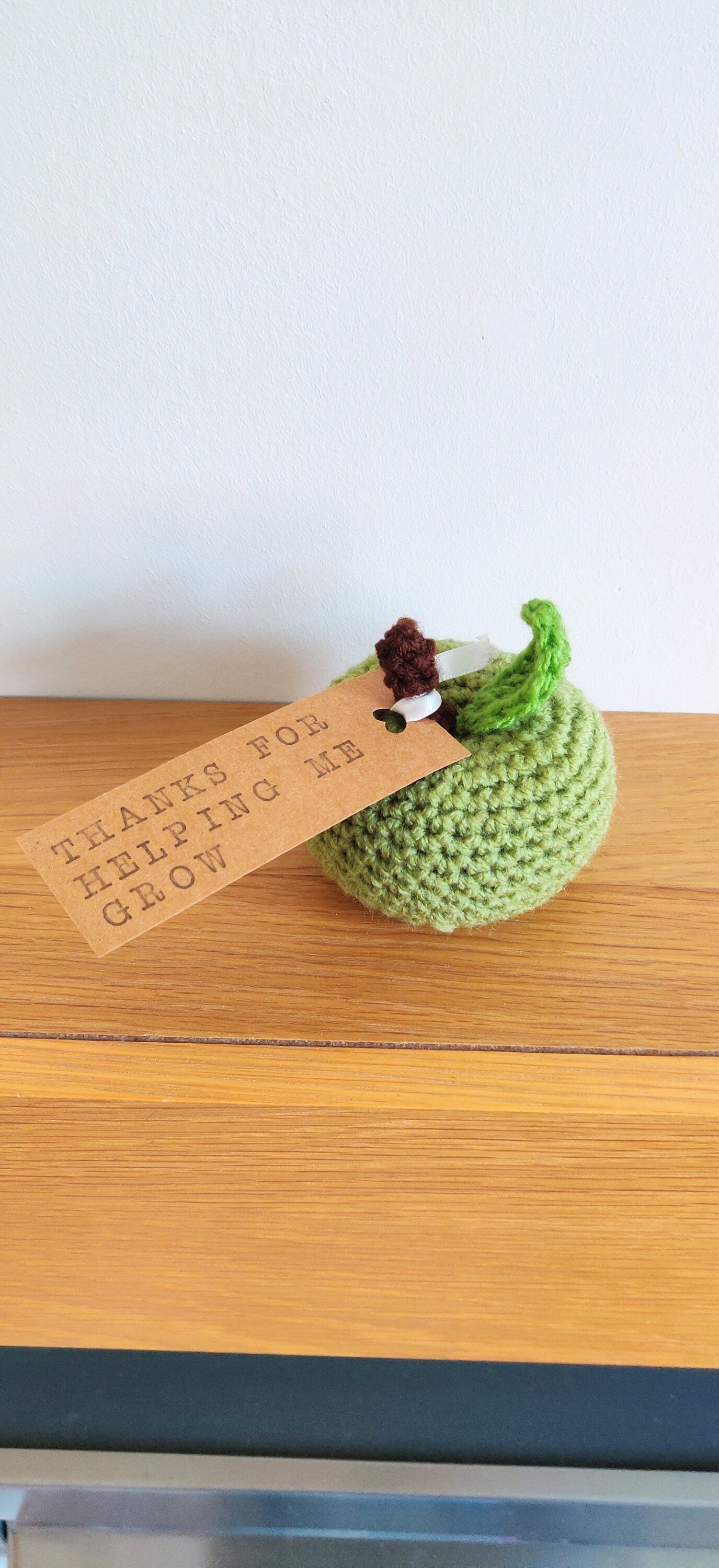 Apple Teacher Gift, End of Term Present, If Teachers Were Apples I'd Pick You, Crochet Personalised Teacher Appreciation, Red Apple Prop