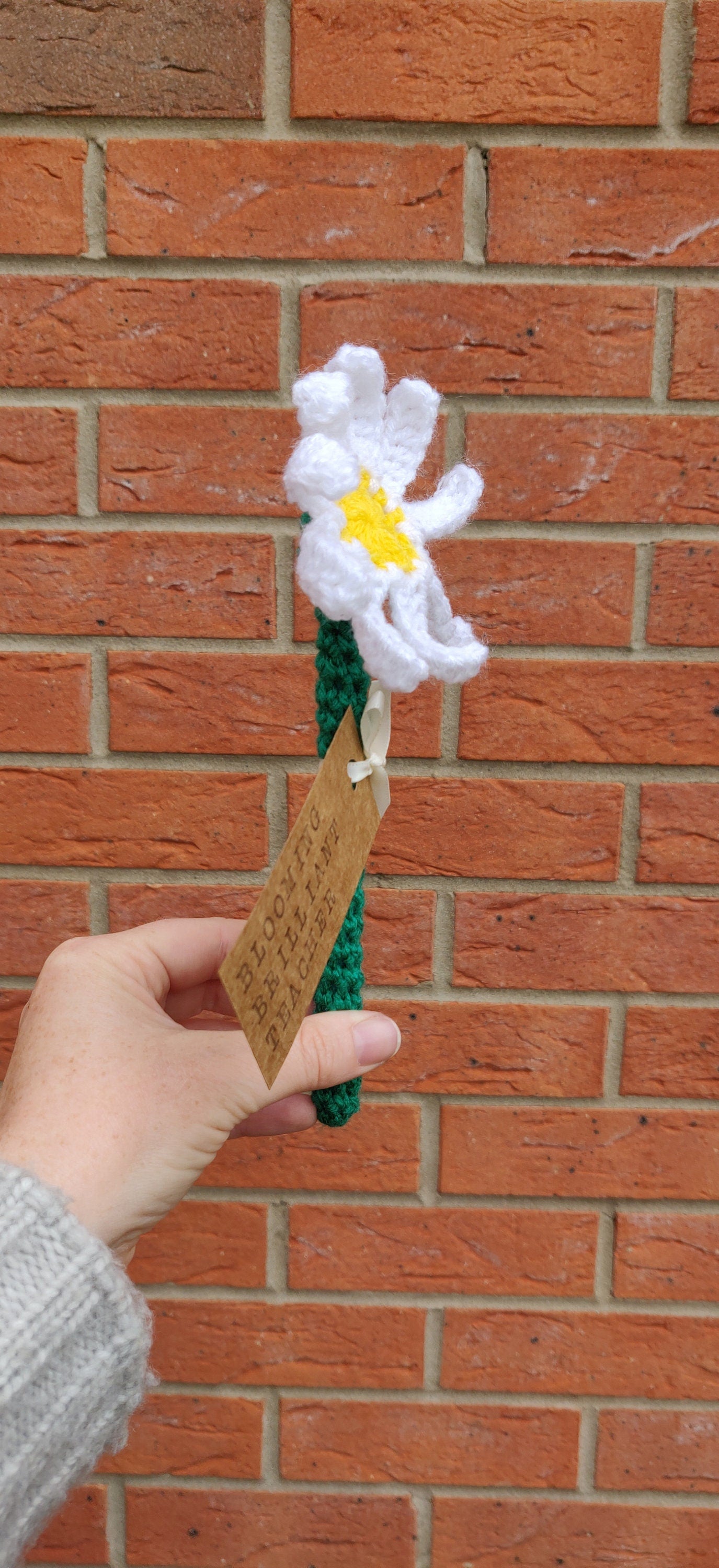 Teacher Gift, Daisy Flower Gift, Gift for Teachers, Blooming Brilliant Teacher, Personalised Teaching Assistant Gift, Artificial Daisy