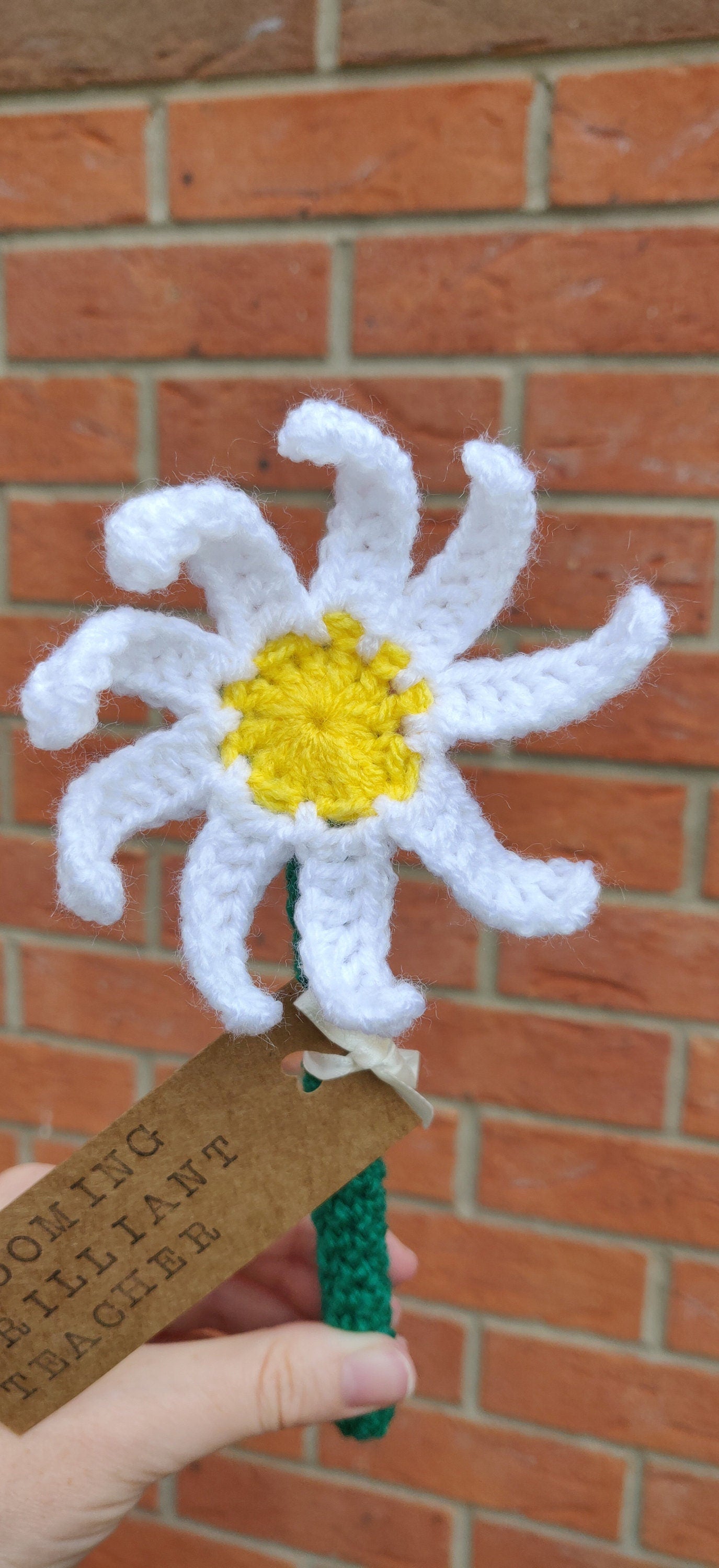 Teacher Gift, Daisy Flower Gift, Gift for Teachers, Blooming Brilliant Teacher, Personalised Teaching Assistant Gift, Artificial Daisy