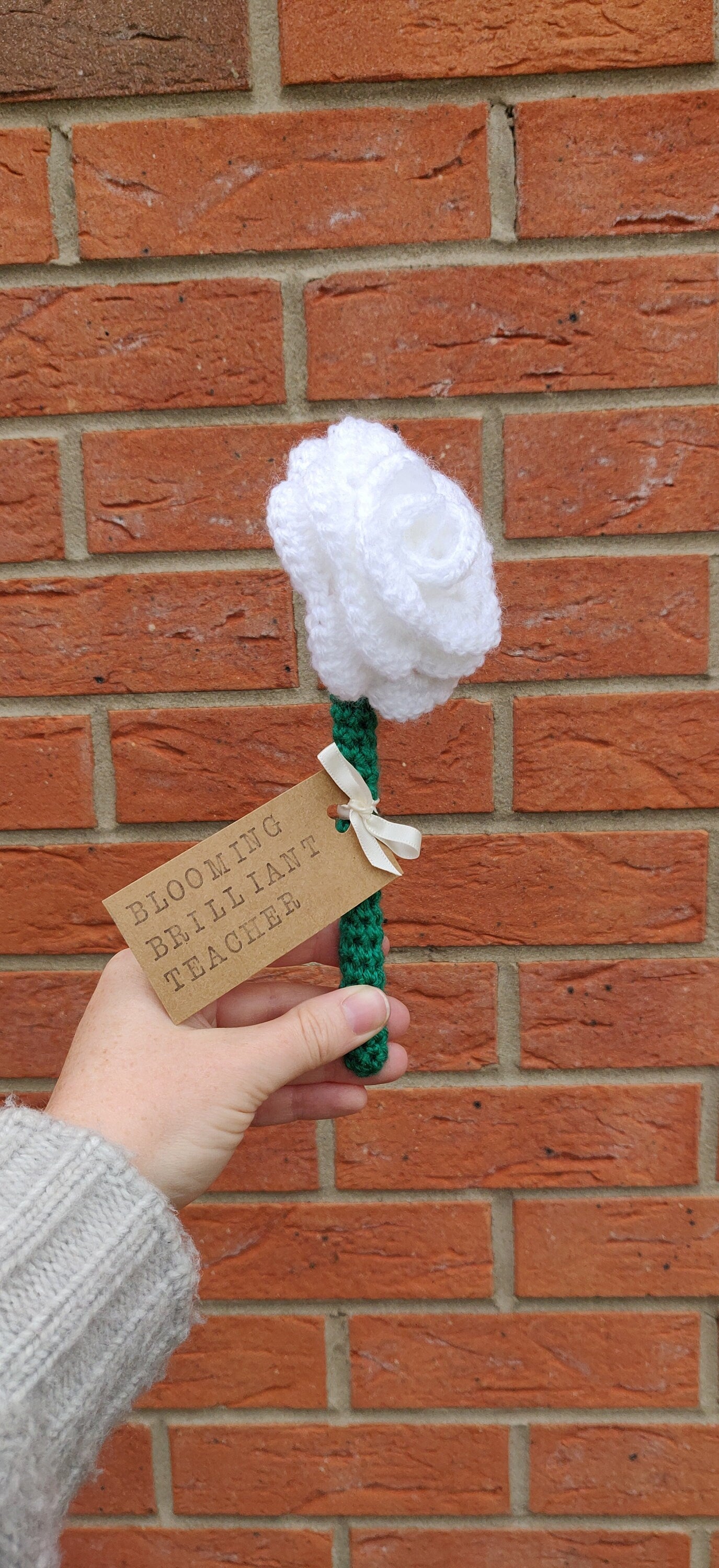 Teacher Gift, Rose Flower Gift, Gift for Teachers, Blooming Brilliant Teacher, Personalised Teaching Assistant Gift, Artificial White Rose