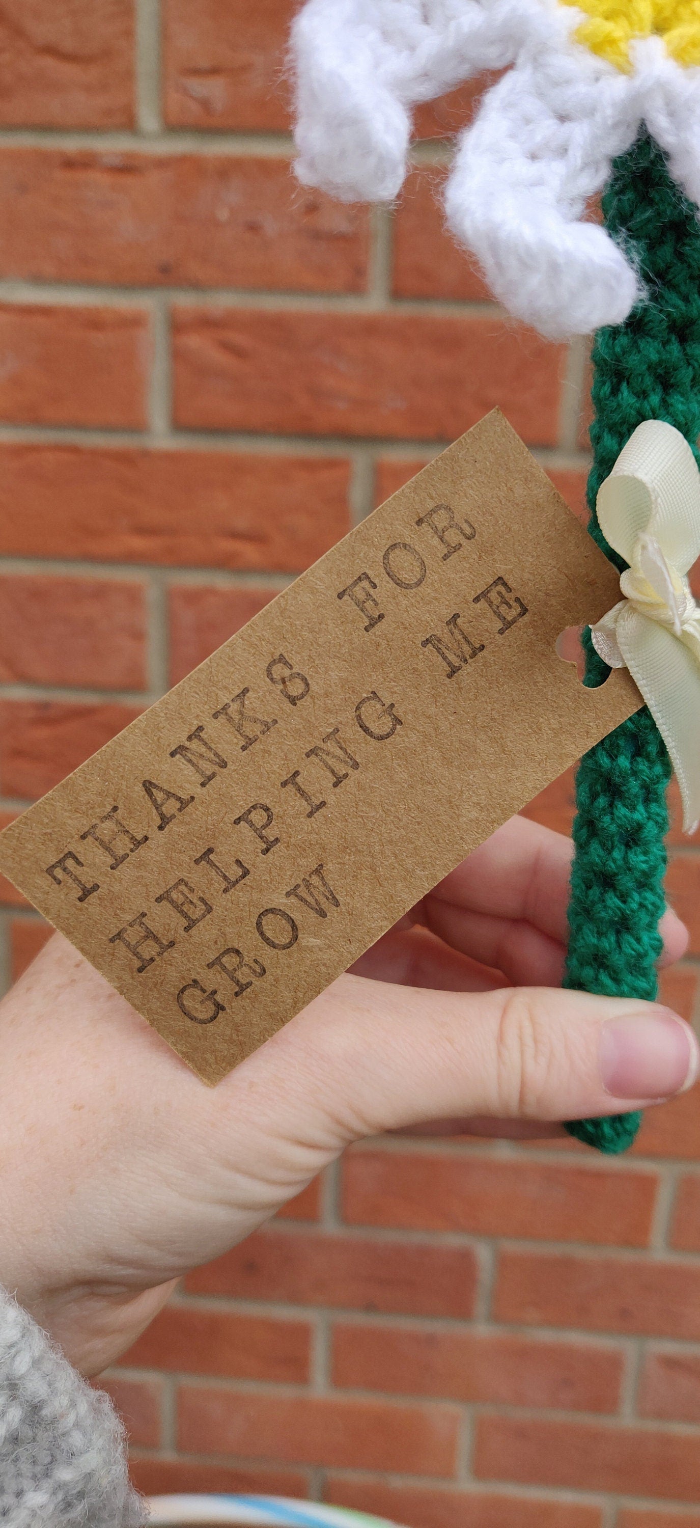 Daisy Teacher Gift, Gifts for Teachers, Thank You for Helping Me Grow, Personalised Teacher Assistant Gift, Artificial Daisy, Fake Daisy