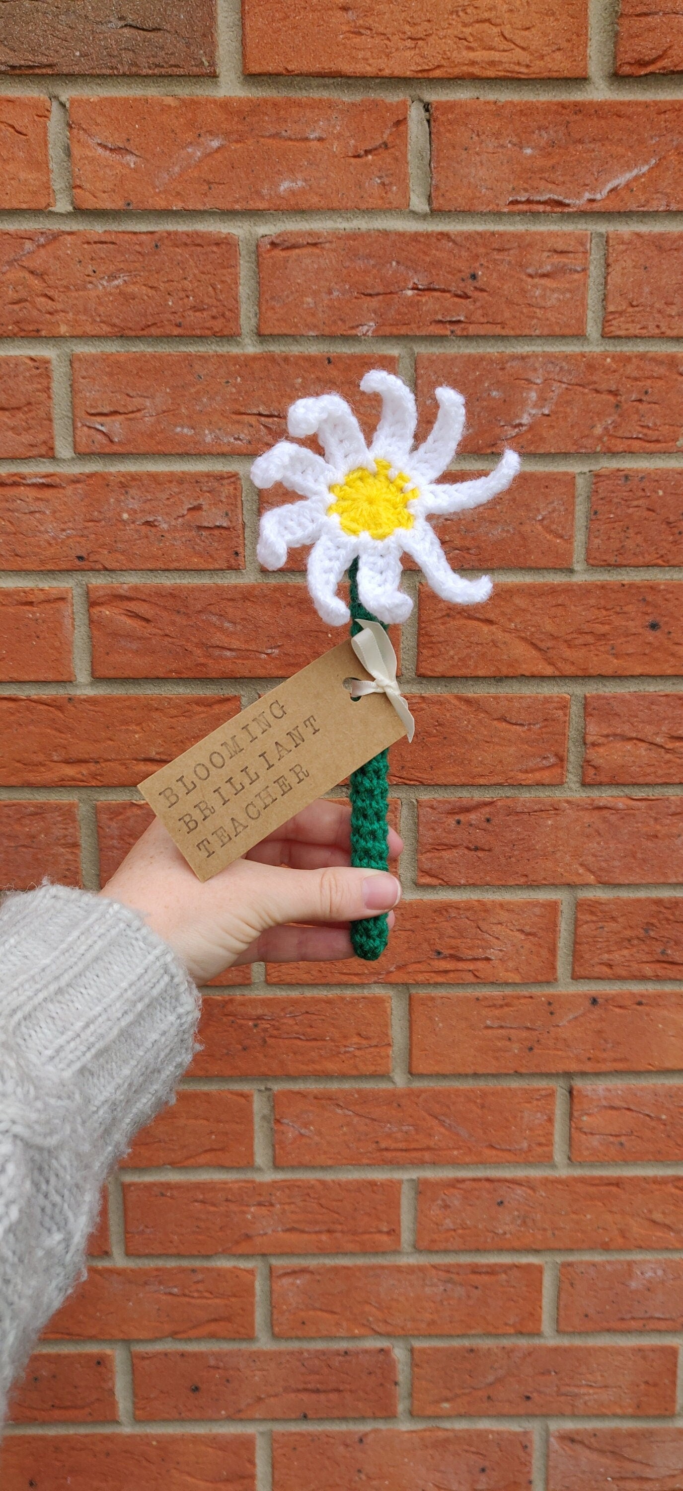 Teacher Gift, Daisy Flower Gift, Gift for Teachers, Blooming Brilliant Teacher, Personalised Teaching Assistant Gift, Artificial Daisy