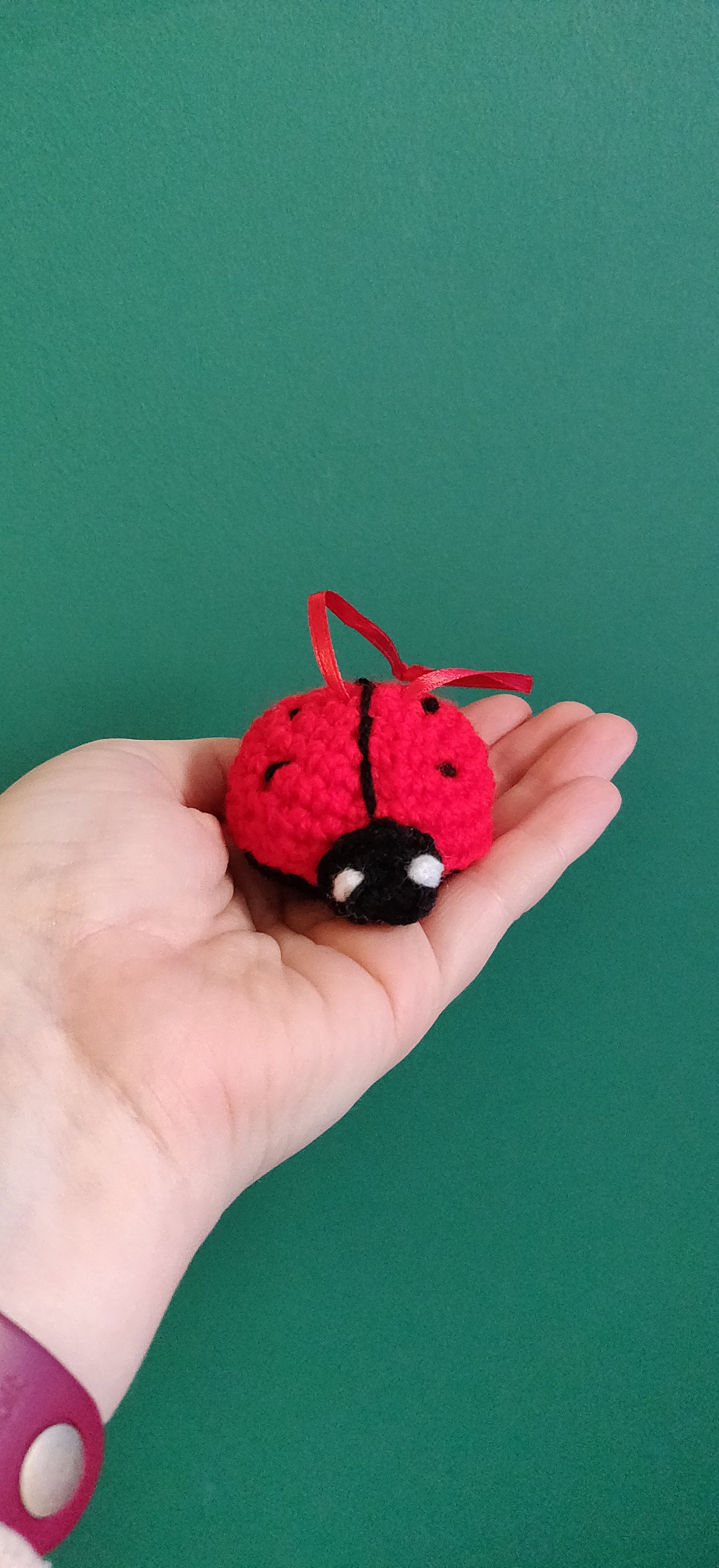 Crochet Ladybird Hanging Decoration, Car Decor, Ladybug Gift, Red and Black Ladybird Gift, Valentine's Love Bug Gift, Door Hanger, Keyring