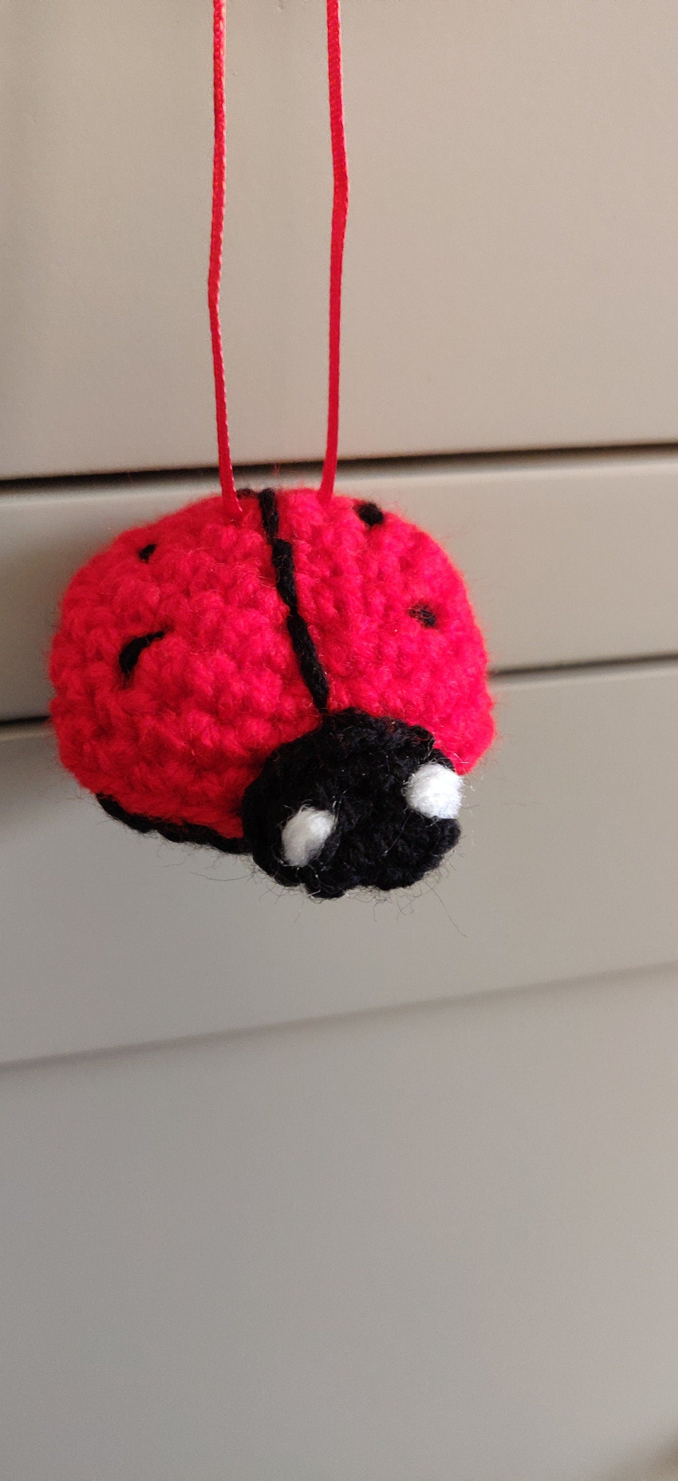 Crochet Ladybird Hanging Decoration, Car Decor, Ladybug Gift, Red and Black Ladybird Gift, Valentine's Love Bug Gift, Door Hanger, Keyring