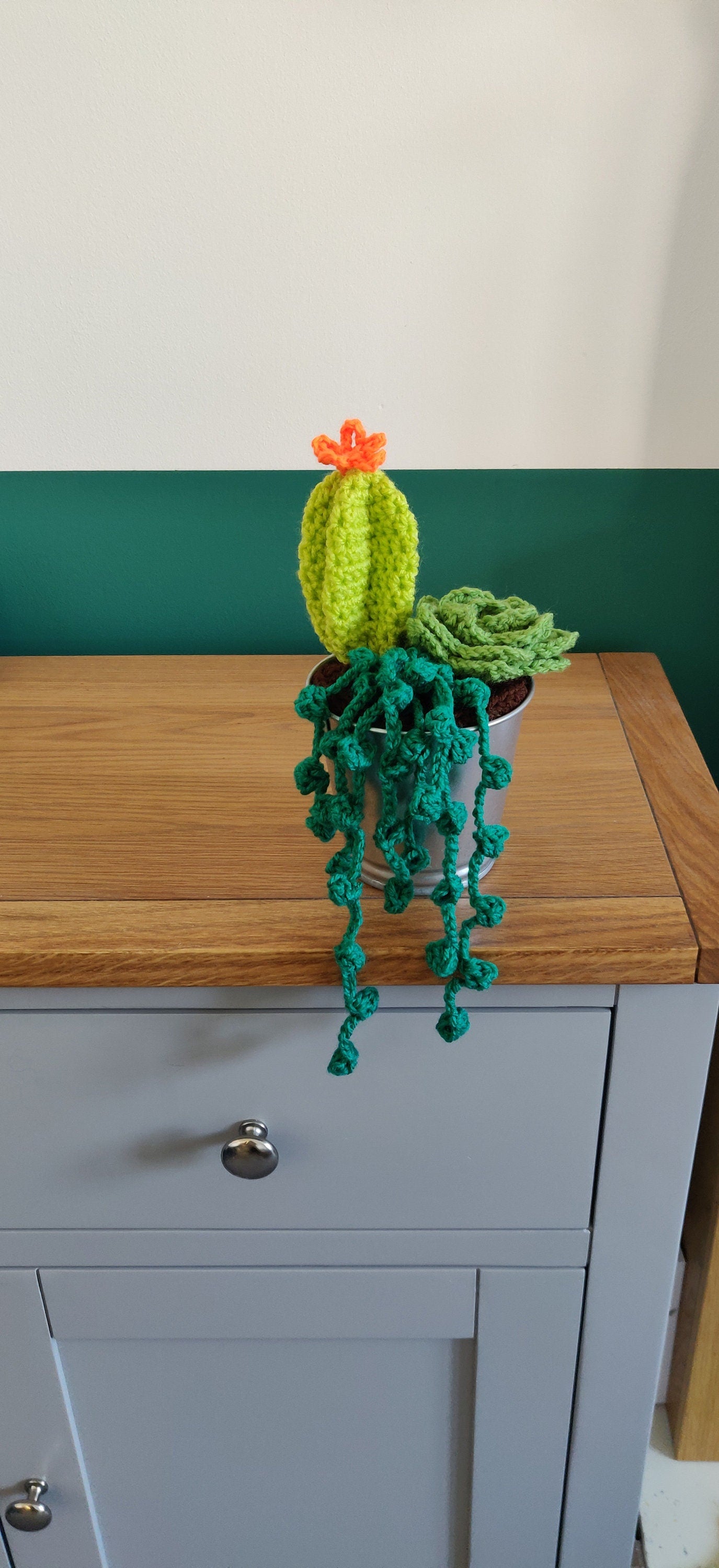 Crochet Succulent and Cacti Plant Pot, Forever Artificial Plant, Unique Birthday Gift, Porch Decor, Forest Green Decor, Indoor Plant Pot