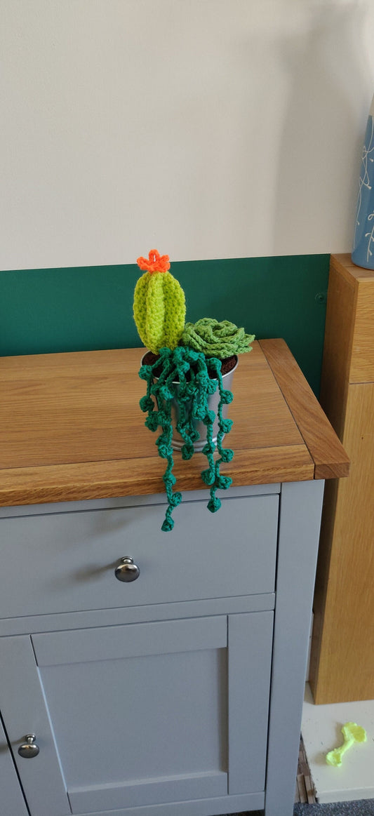 Crochet Succulent and Cacti Plant Pot, Forever Artificial Plant, Unique Birthday Gift, Porch Decor, Forest Green Decor, Indoor Plant Pot