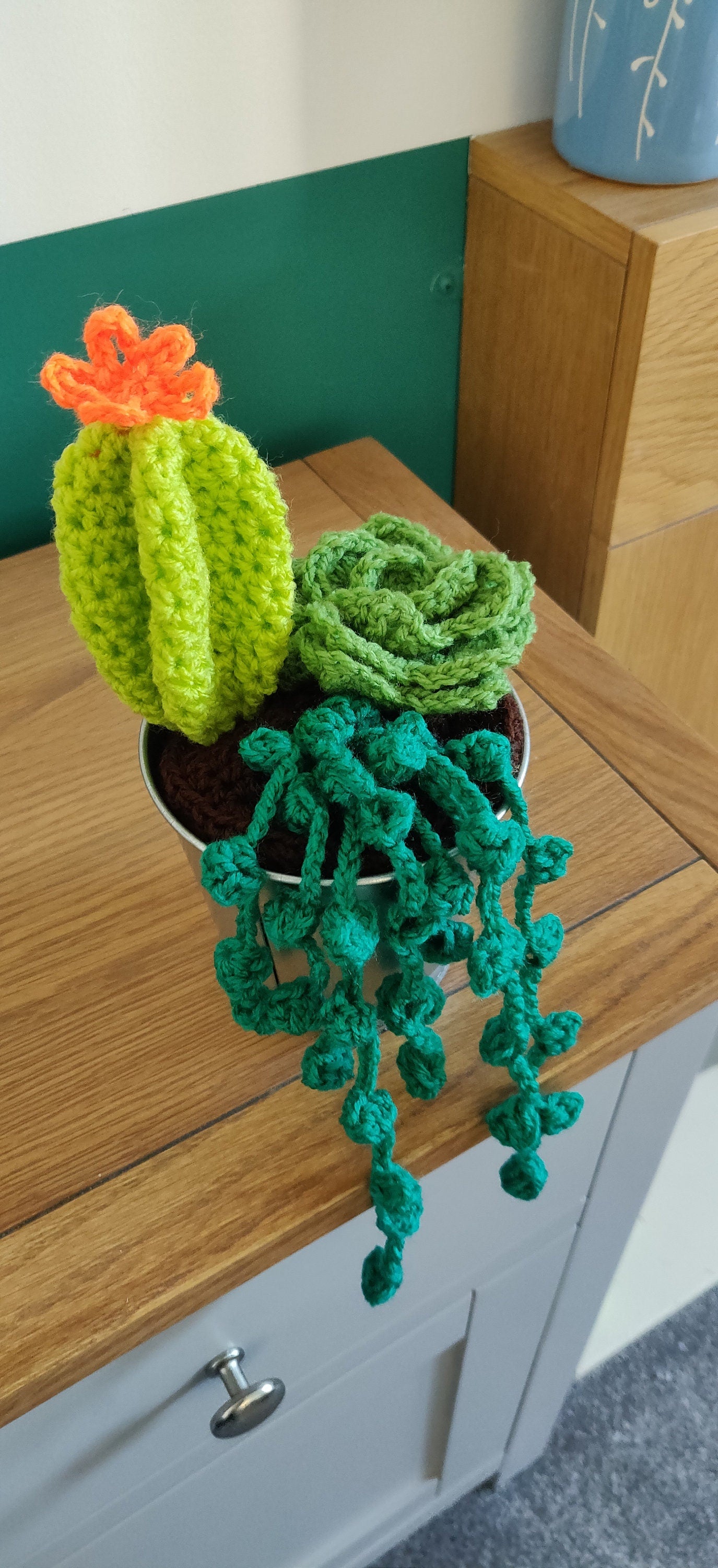 Crochet Succulent and Cacti Plant Pot, Forever Artificial Plant, Unique Birthday Gift, Porch Decor, Forest Green Decor, Indoor Plant Pot