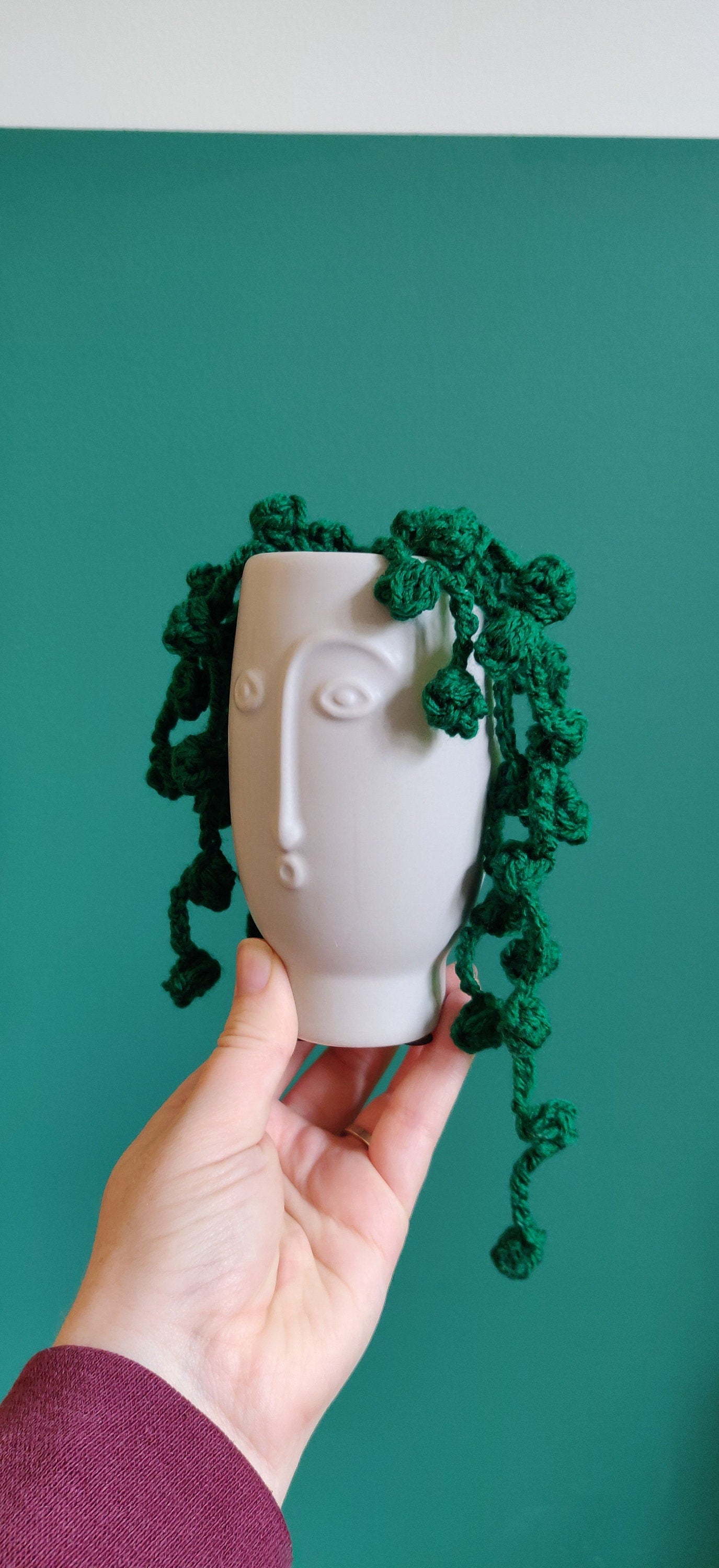 Crochet String of Pearls Plant: Fun Face Pot, Unique Homeware