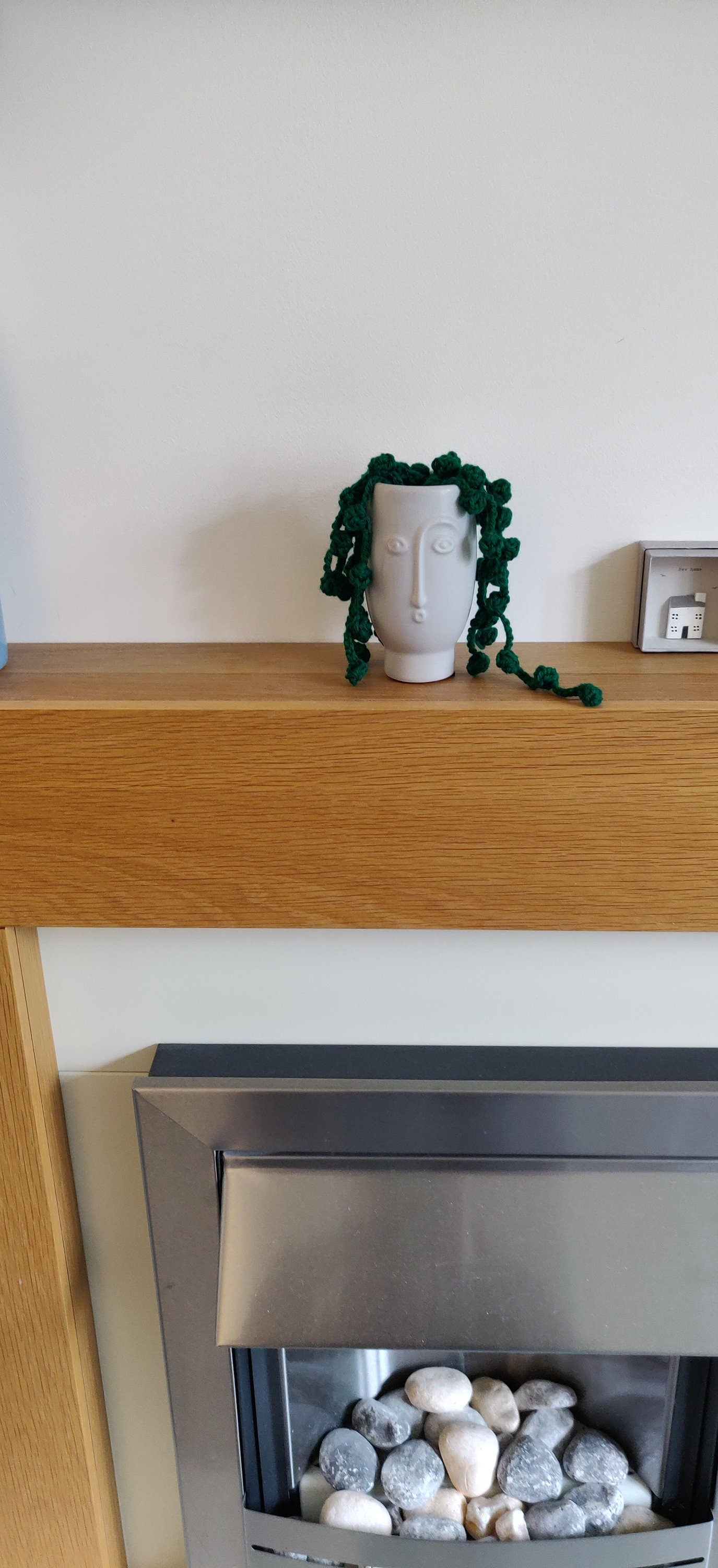 Crochet String of Pearls Plant: Fun Face Pot, Unique Homeware