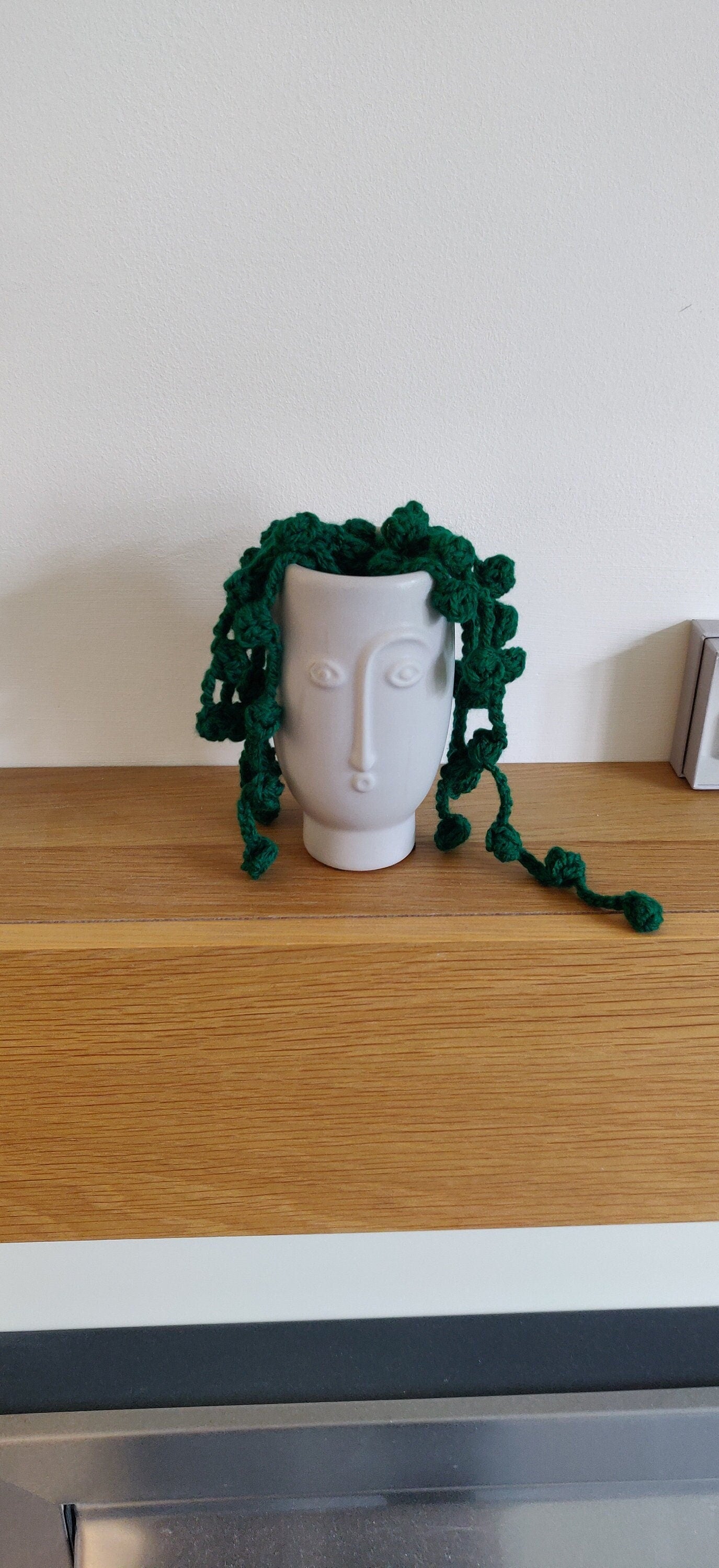 Crochet String of Pearls Plant: Fun Face Pot, Unique Homeware