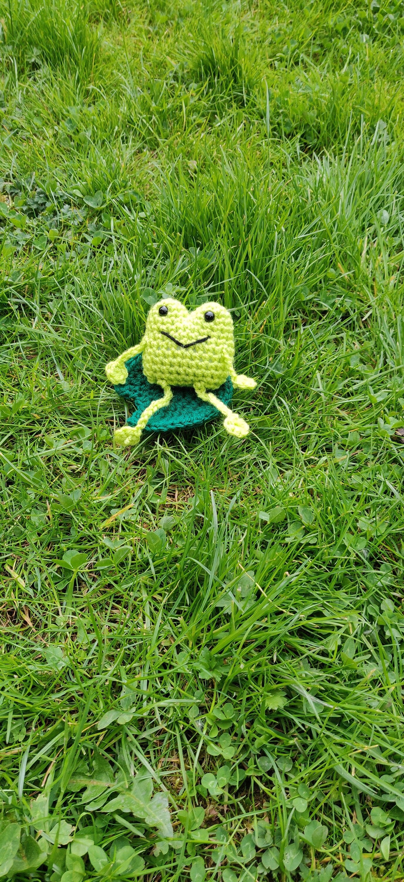Crochet Frog with Water Lily, Frog Plush, Frog Gift for Kids, Toad Ornament, Froggy Figurine, Fun Frog Prince, Shelf Sitter, Shelf Buddy
