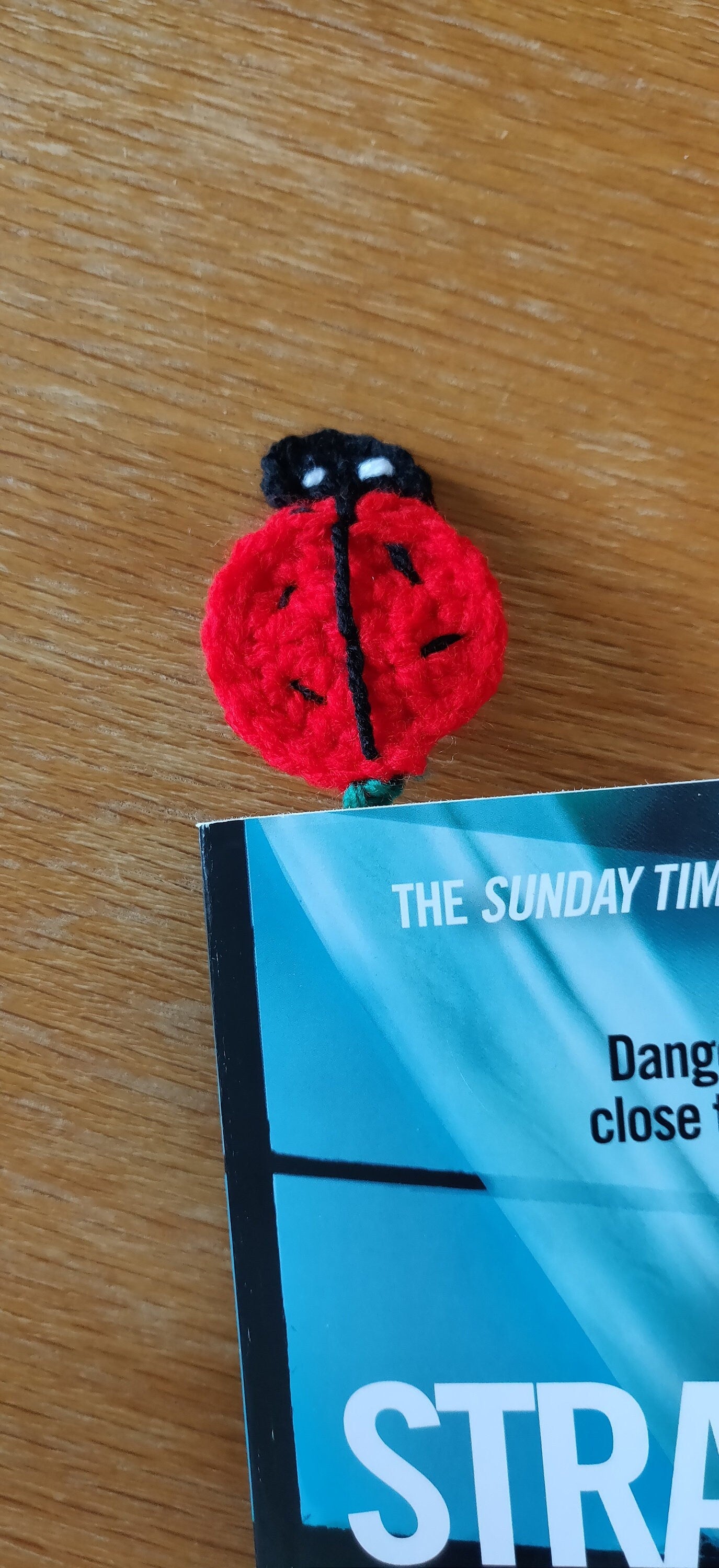 Ladybird Bookmark, Crochet Animal Bookmark, Book Accessories, Book Gift, Small Ladybug Gift, Crochet Gift, Red and Black Ladybird Plush Gift