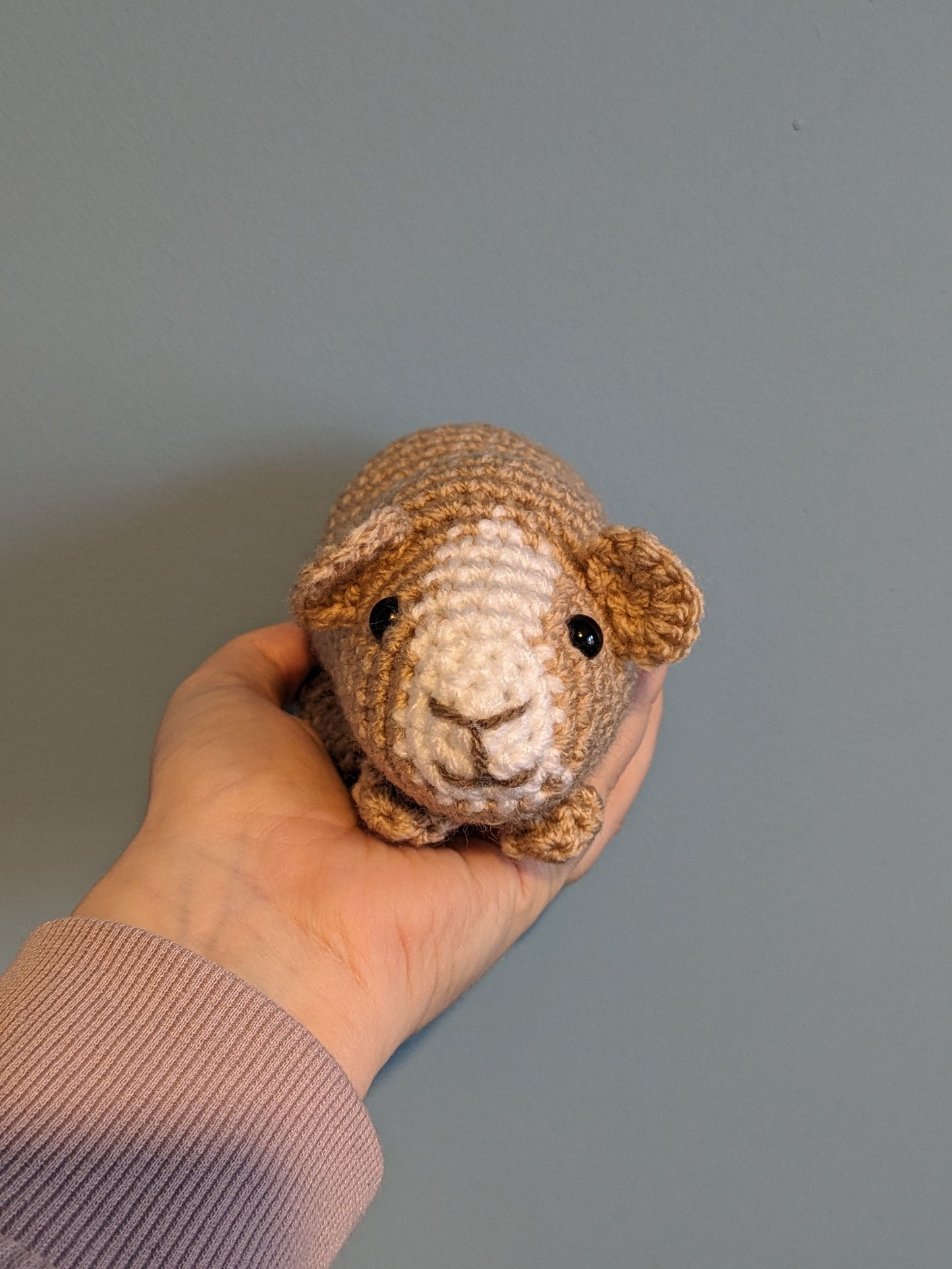Crochet Guinea Pig Plushie: Personalized Pet Memorial Teddy
