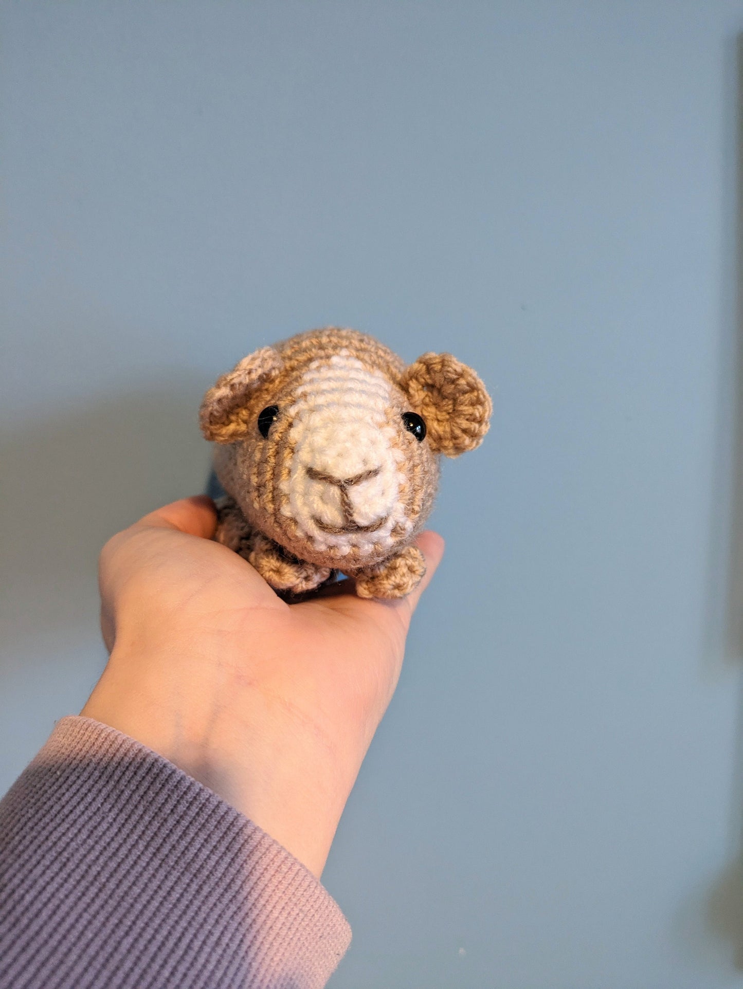 Crochet Guinea Pig Plushie: Personalized Pet Memorial Teddy