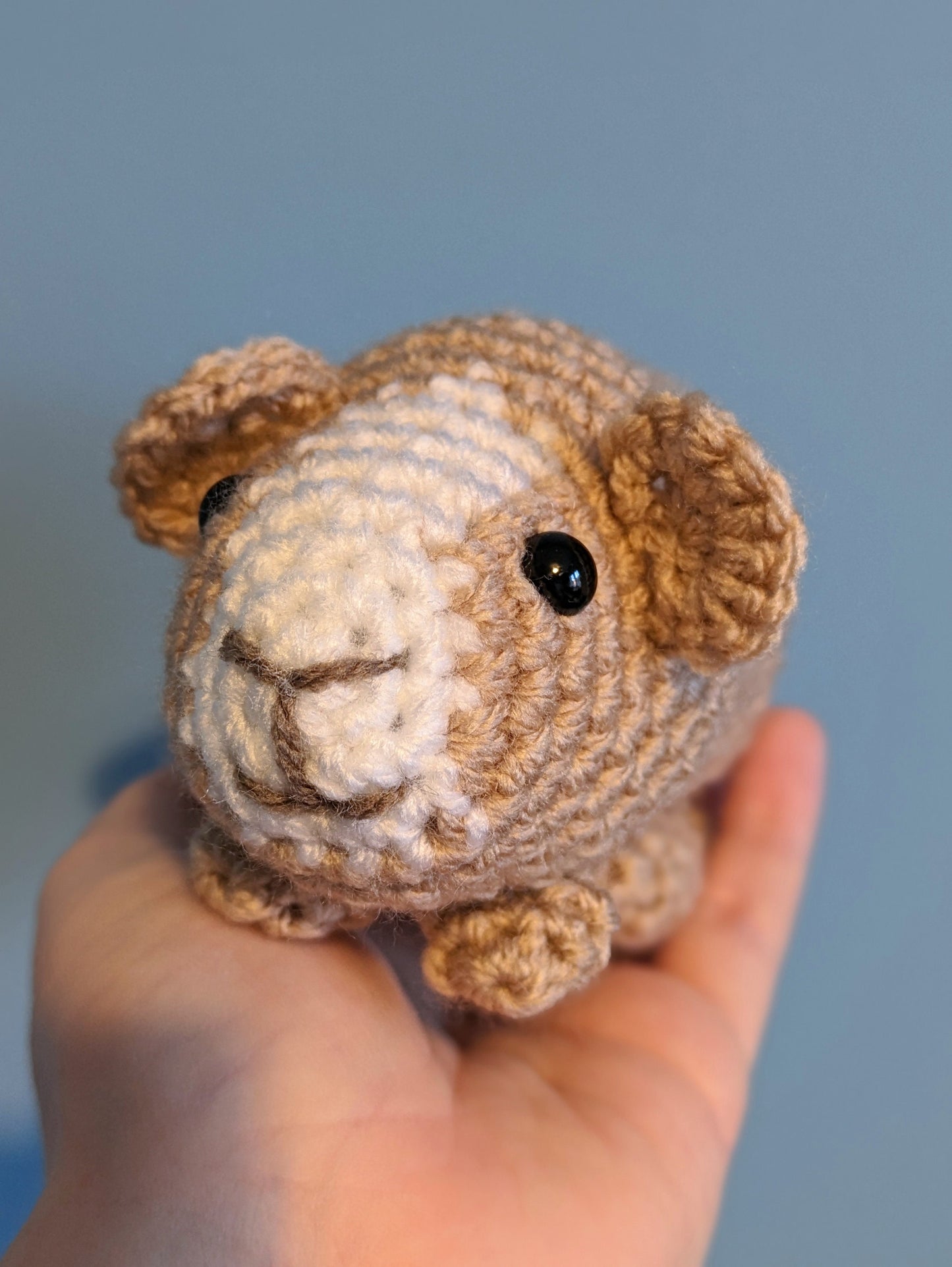 Crochet Guinea Pig Plushie: Personalized Pet Memorial Teddy