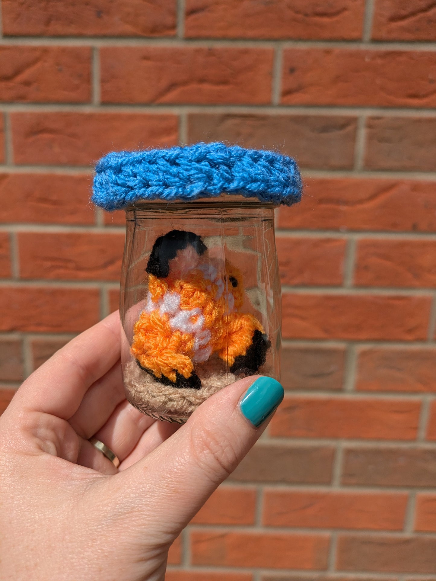 Crochet Clown Fish in Mini Fish Tank, Personalized Pet Memorial
