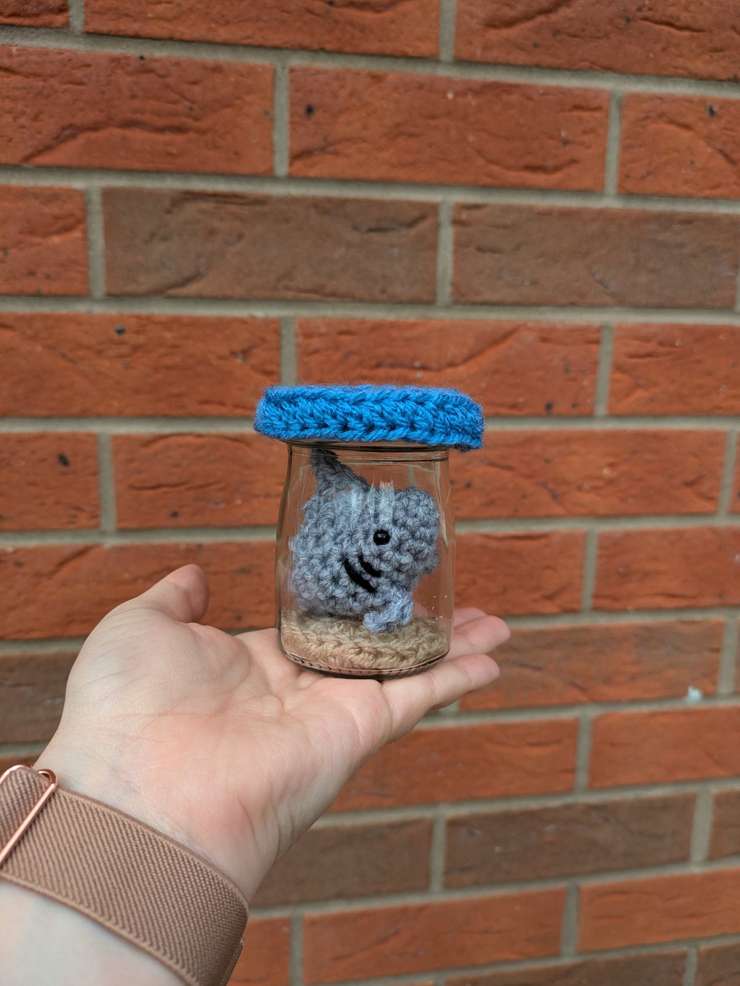 Mini Fish Tank, Crochet Shark, Fun Birthday Gift, Goldfish Bowl, Personalised Fishing gift, No Fuss Pet, Ornament, Figurine, Fish Memorial