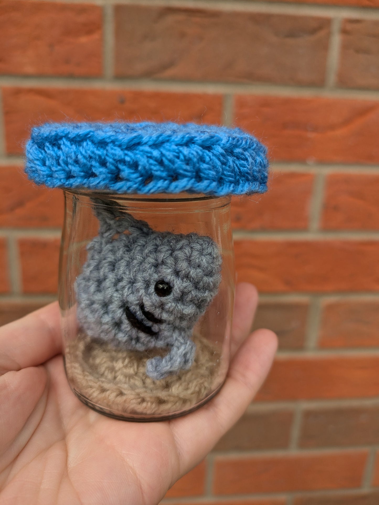 Mini Fish Tank, Crochet Shark, Fun Birthday Gift, Goldfish Bowl, Personalised Fishing gift, No Fuss Pet, Ornament, Figurine, Fish Memorial