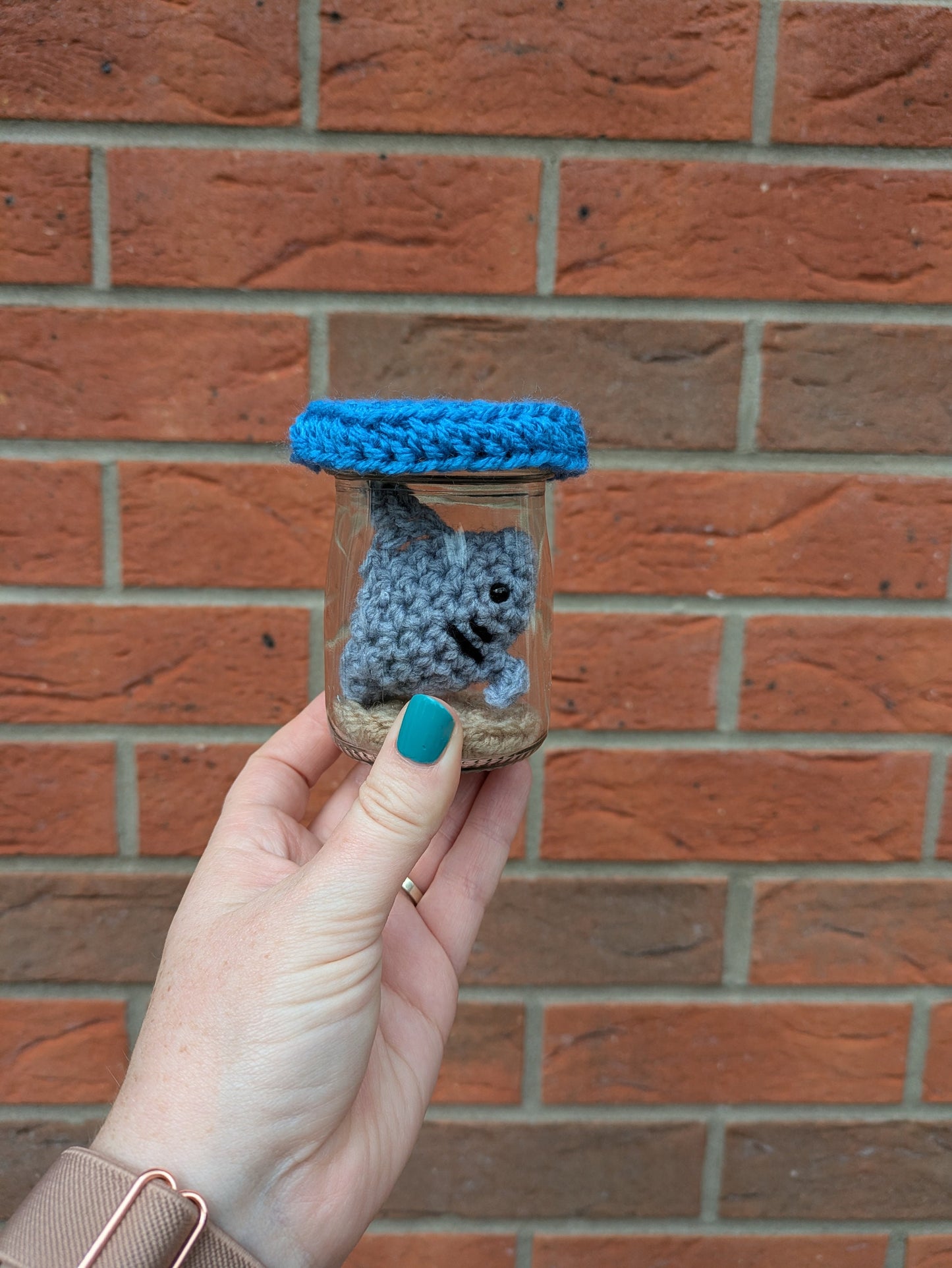Mini Fish Tank, Crochet Shark, Fun Birthday Gift, Goldfish Bowl, Personalised Fishing gift, No Fuss Pet, Ornament, Figurine, Fish Memorial