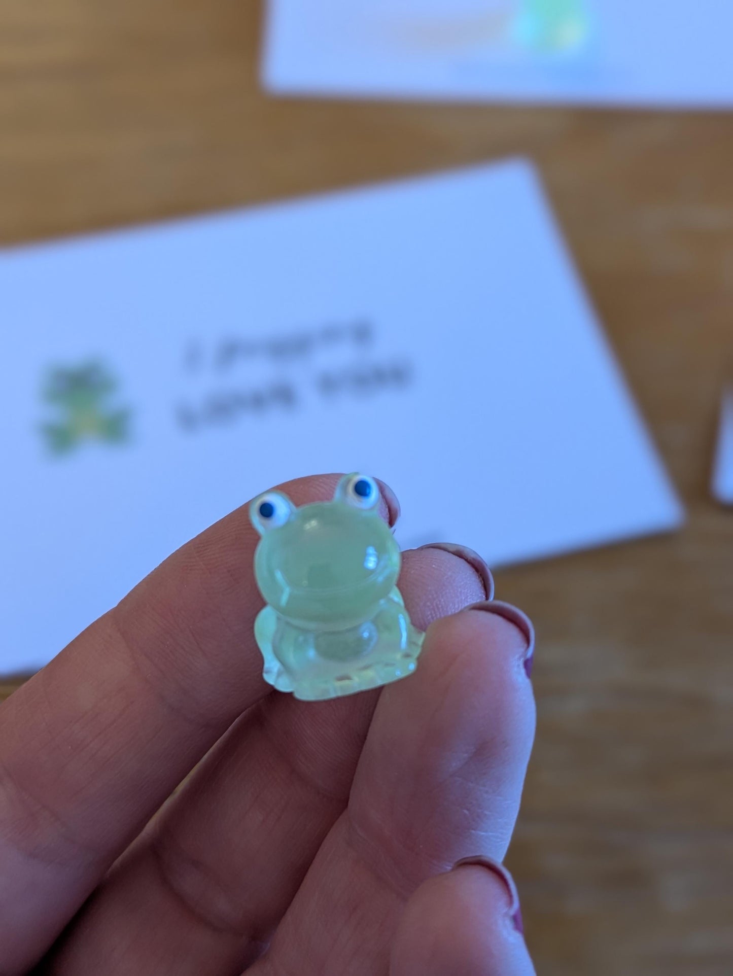 Hoppy Birthday, Frogging Love you, Toad Pocket Hug, Mini Frog, Stocking Filler, Birthday Gift for Him Her, Valentine, Green Frog Gift