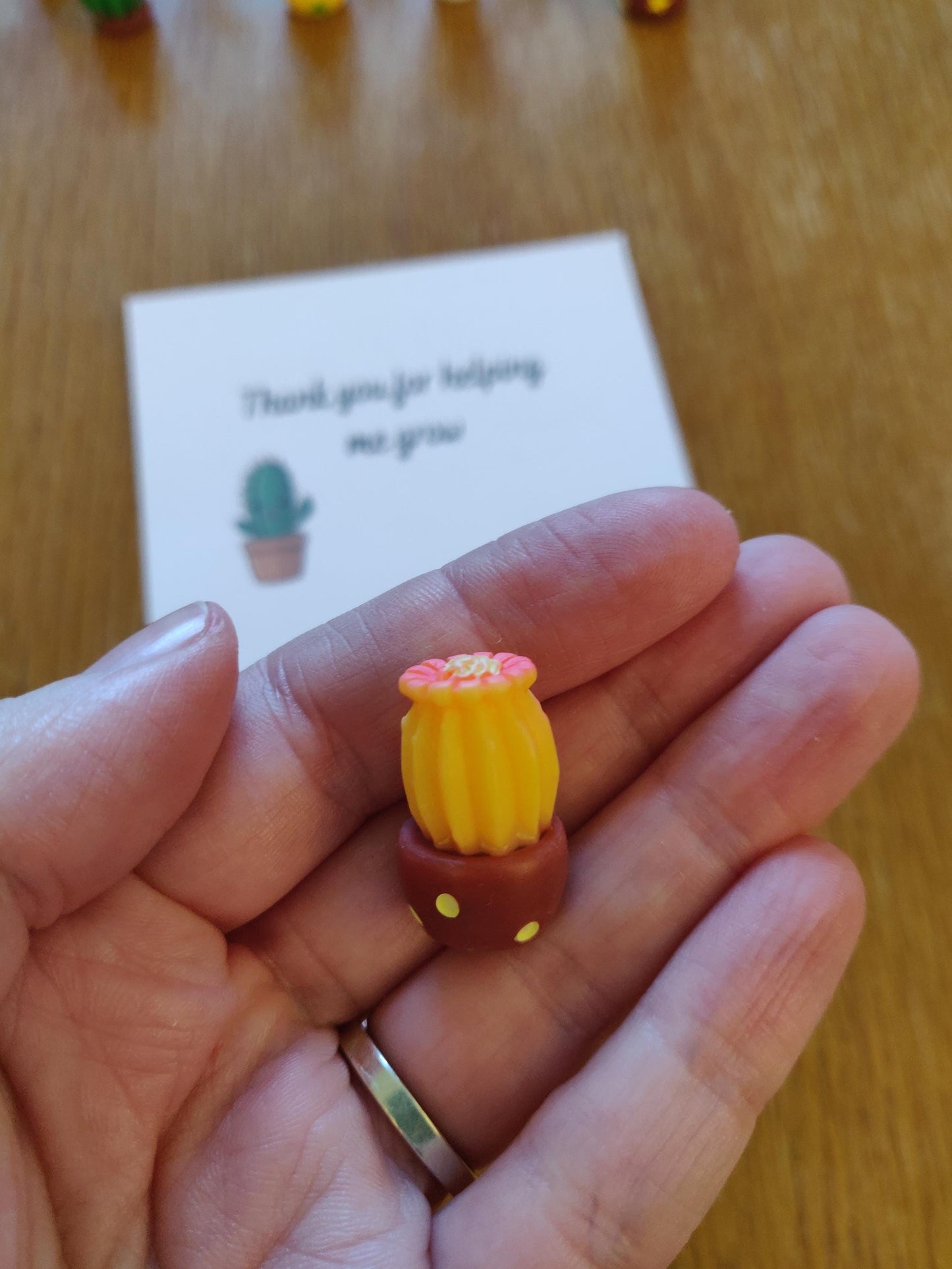 Pocket Hug Cactus Token, For Mum, Son, Daughter, Mini Resin Cacti, Plant Lover, Gift For Teacher, Helping me Grow, Emotional Support Plant