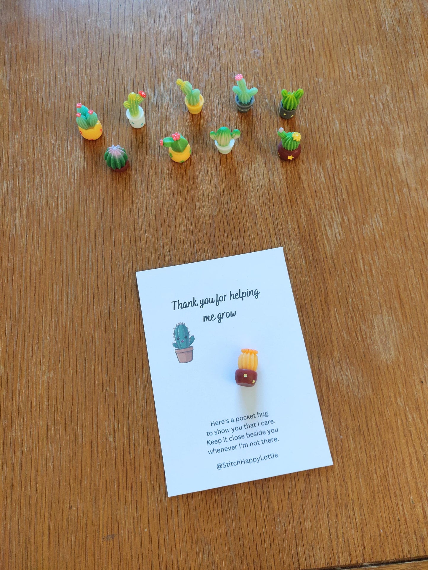Pocket Hug Cactus Token, For Mum, Son, Daughter, Mini Resin Cacti, Plant Lover, Gift For Teacher, Helping me Grow, Emotional Support Plant